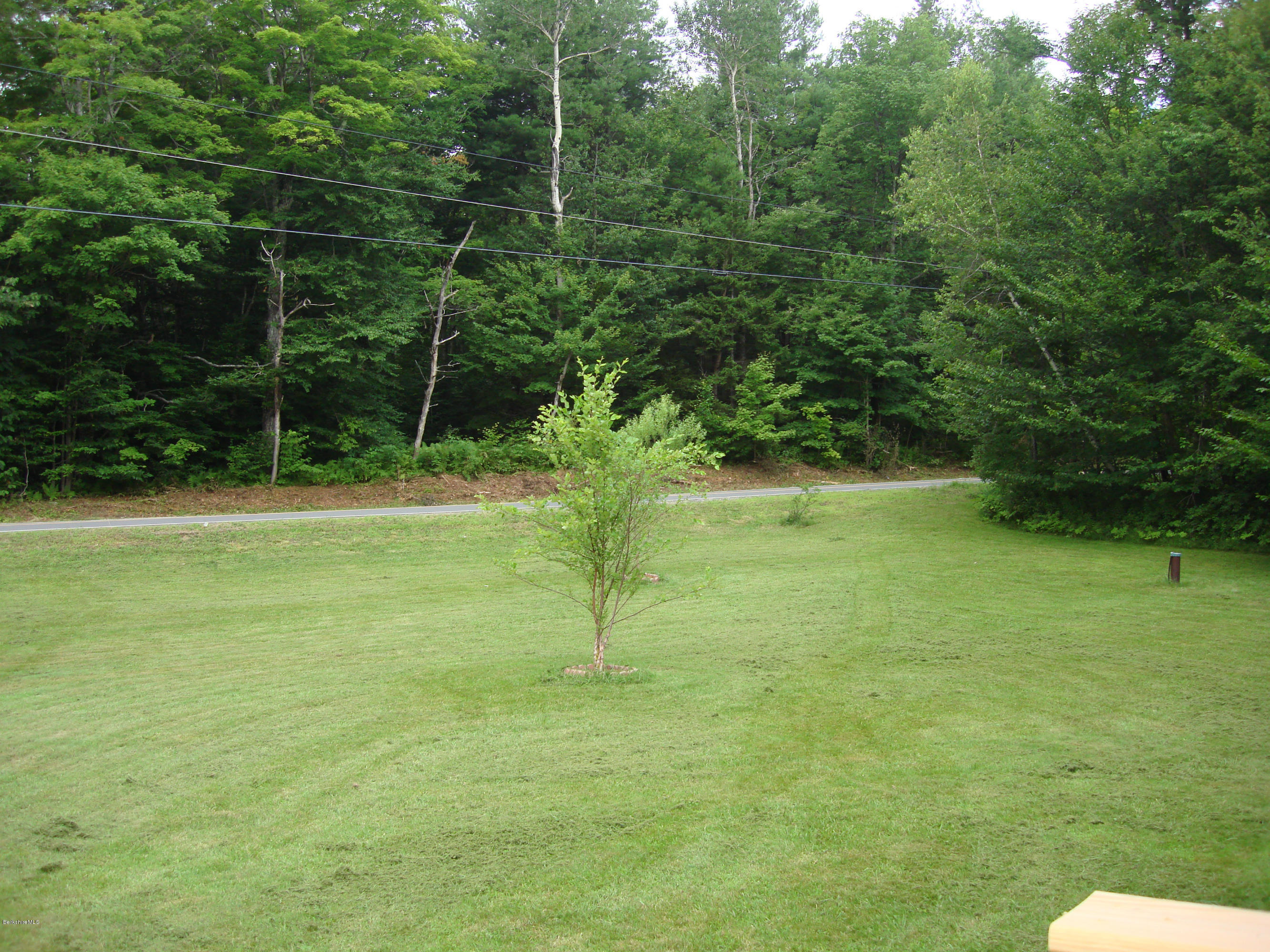 91 Middlefield Road Peru, MA 01235 - Photo 15 of 21 a view of a field with a tree