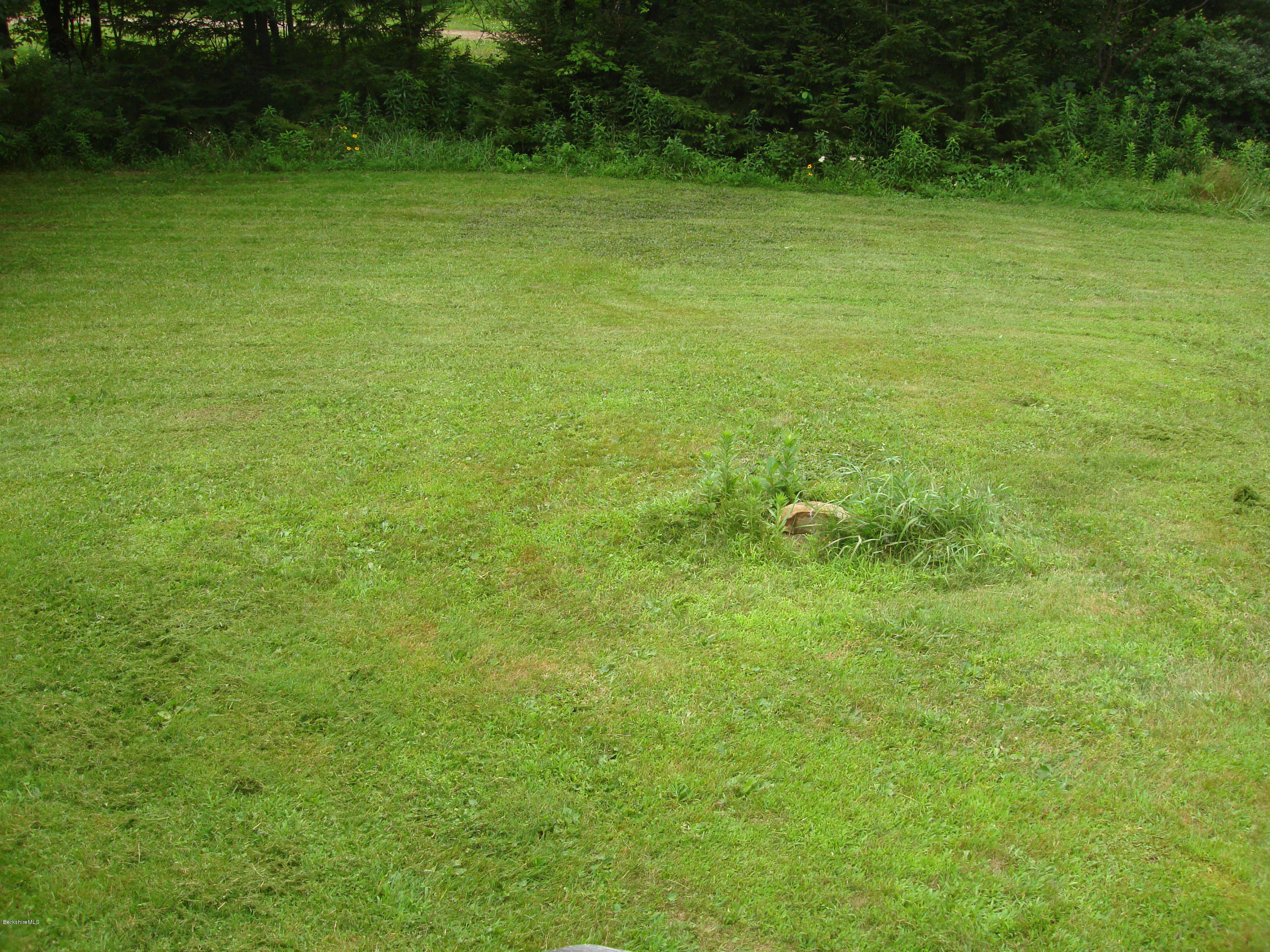 91 Middlefield Road Peru, MA 01235 - Photo 17 of 21 a view of a big yard with green space