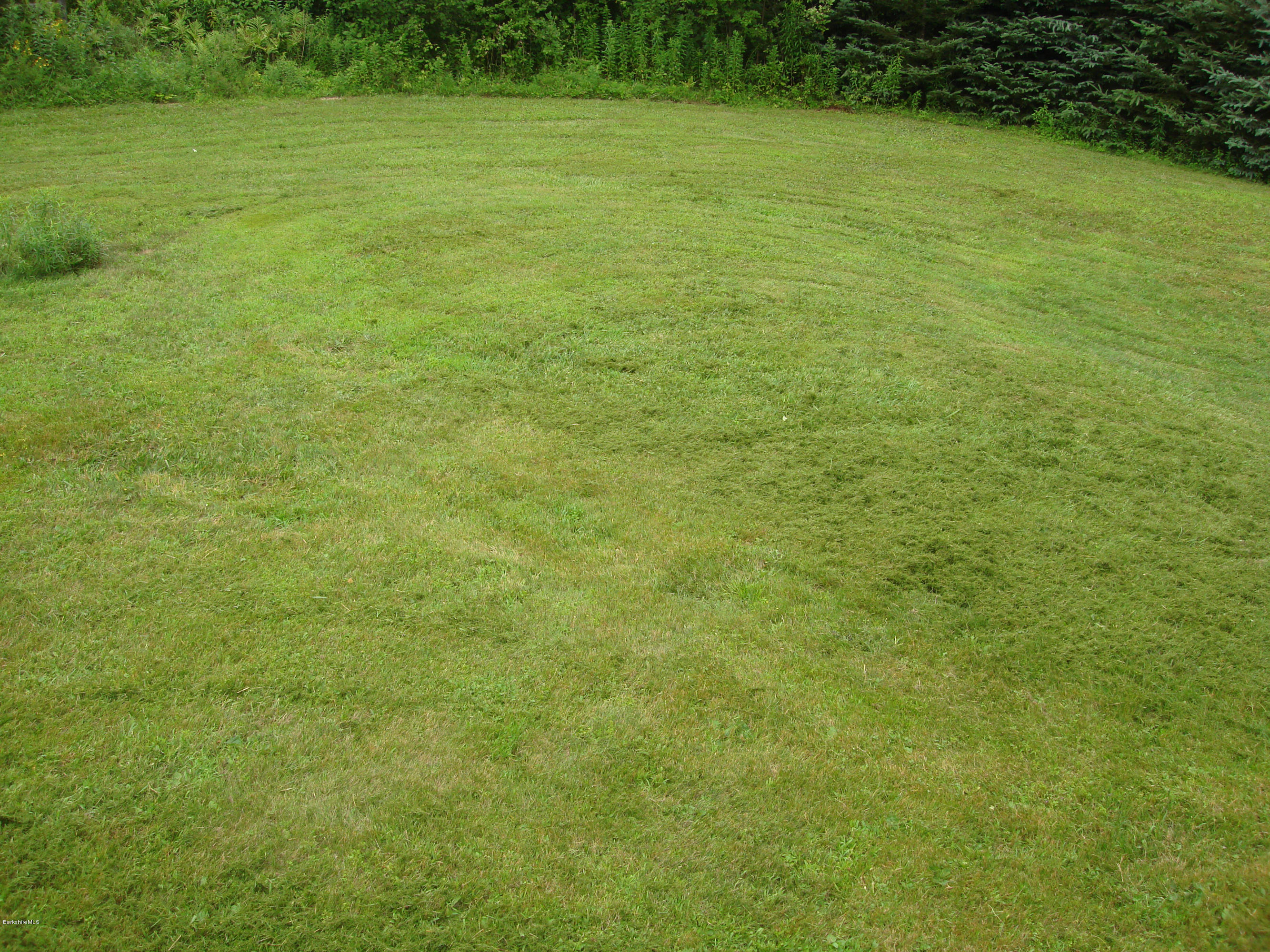 91 Middlefield Road Peru, MA 01235 - Photo 19 of 21 a view of a field with a trees in the background