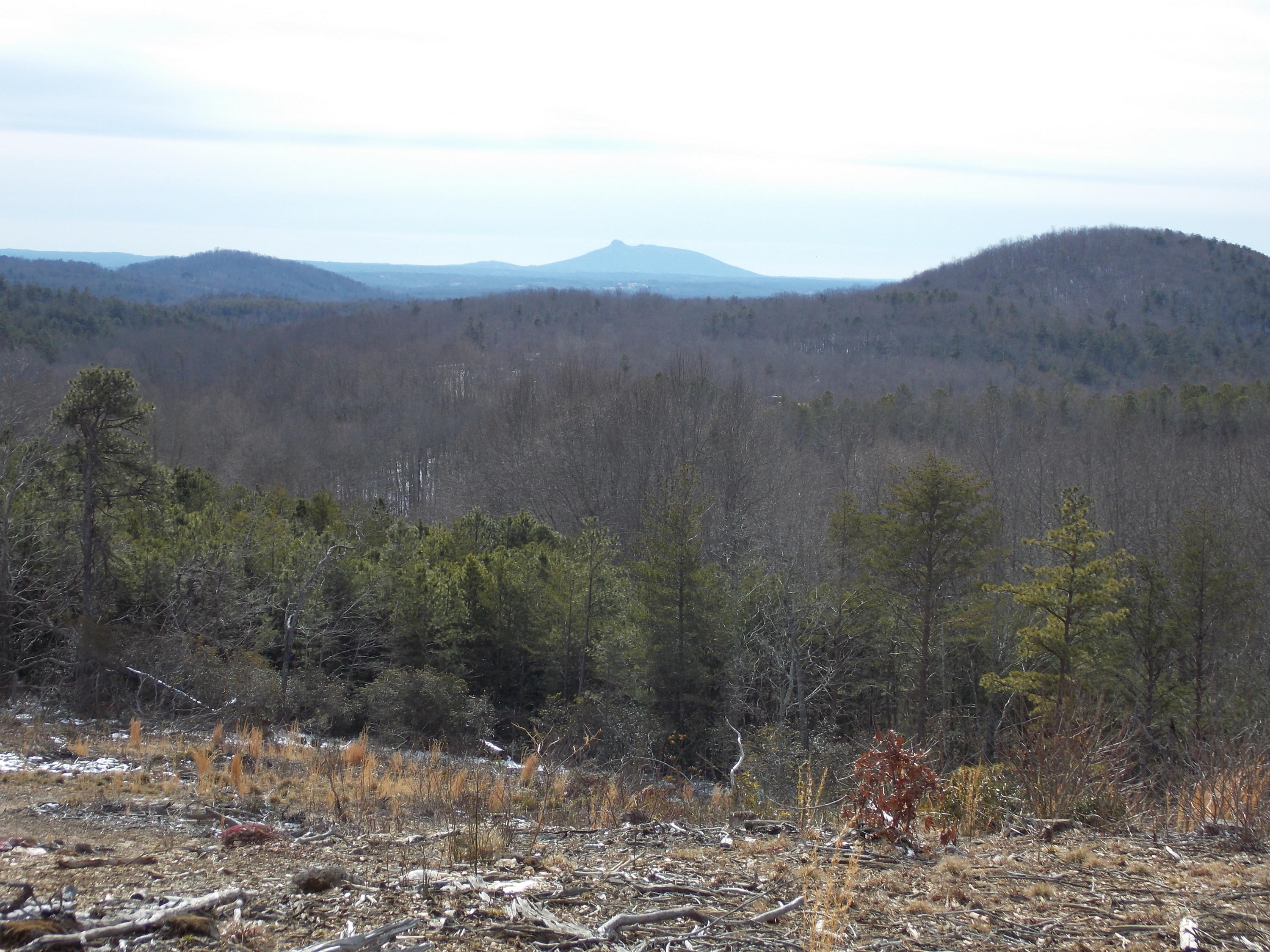 0 Dobyns Road Claudville, VA 24076 - Photo 11 of 32 DSCN0958