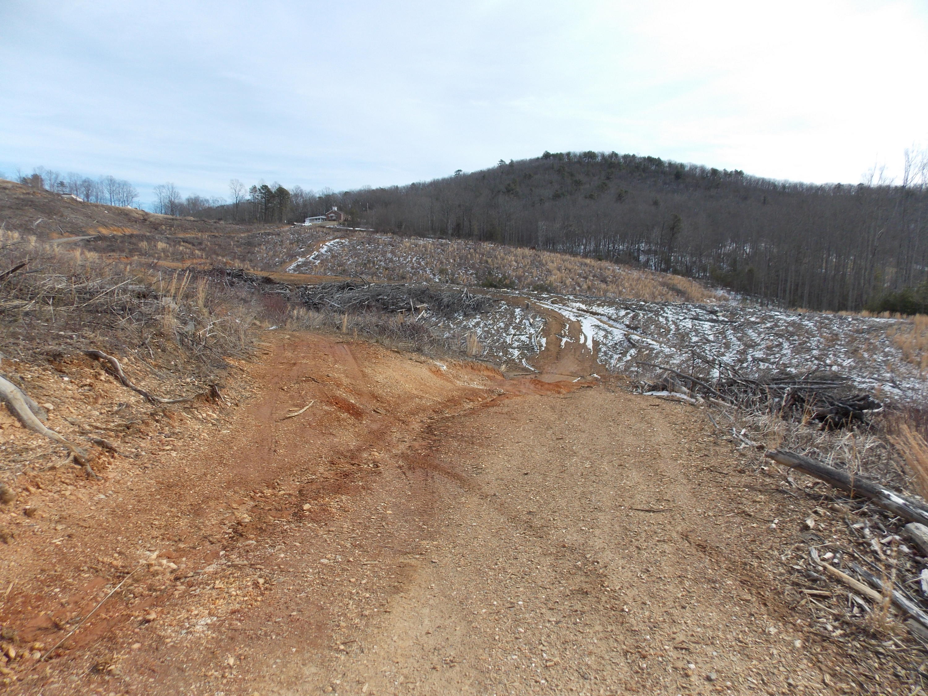 0 Dobyns Road Claudville, VA 24076 - Photo 17 of 32 DSCN0942