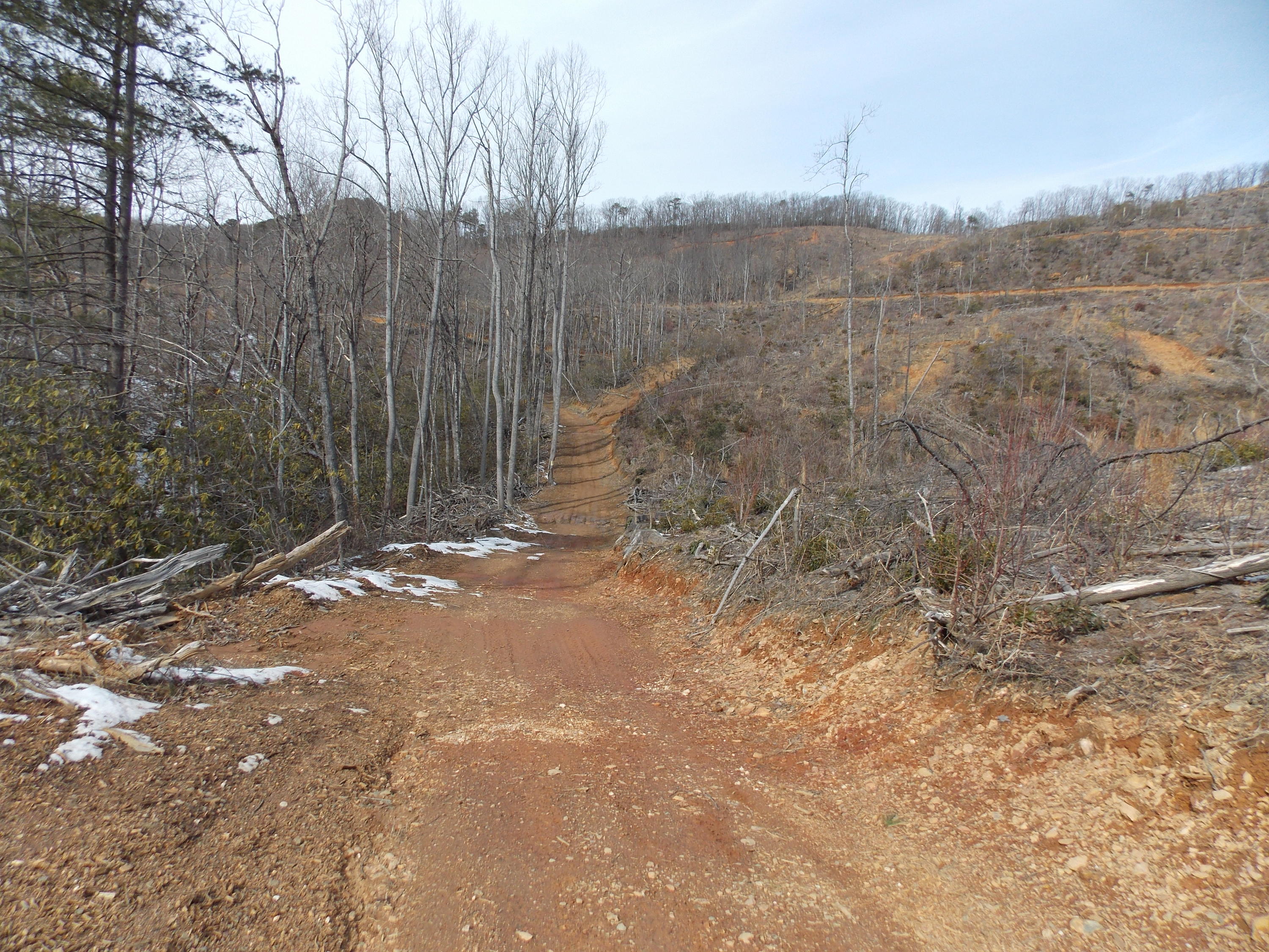 0 Dobyns Road Claudville, VA 24076 - Photo 19 of 32 DSCN0944