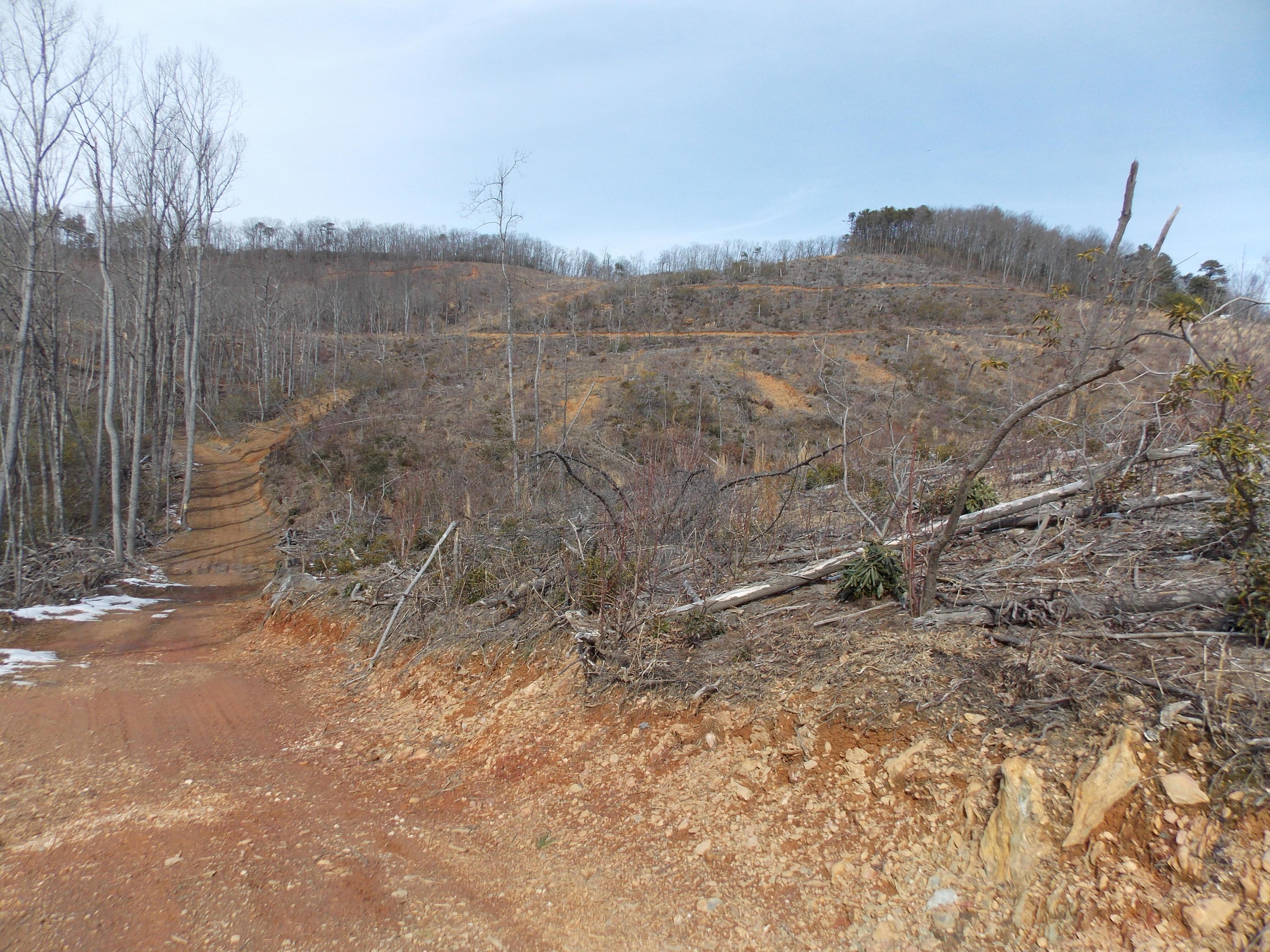 0 Dobyns Road Claudville, VA 24076 - Photo 20 of 32 DSCN0945