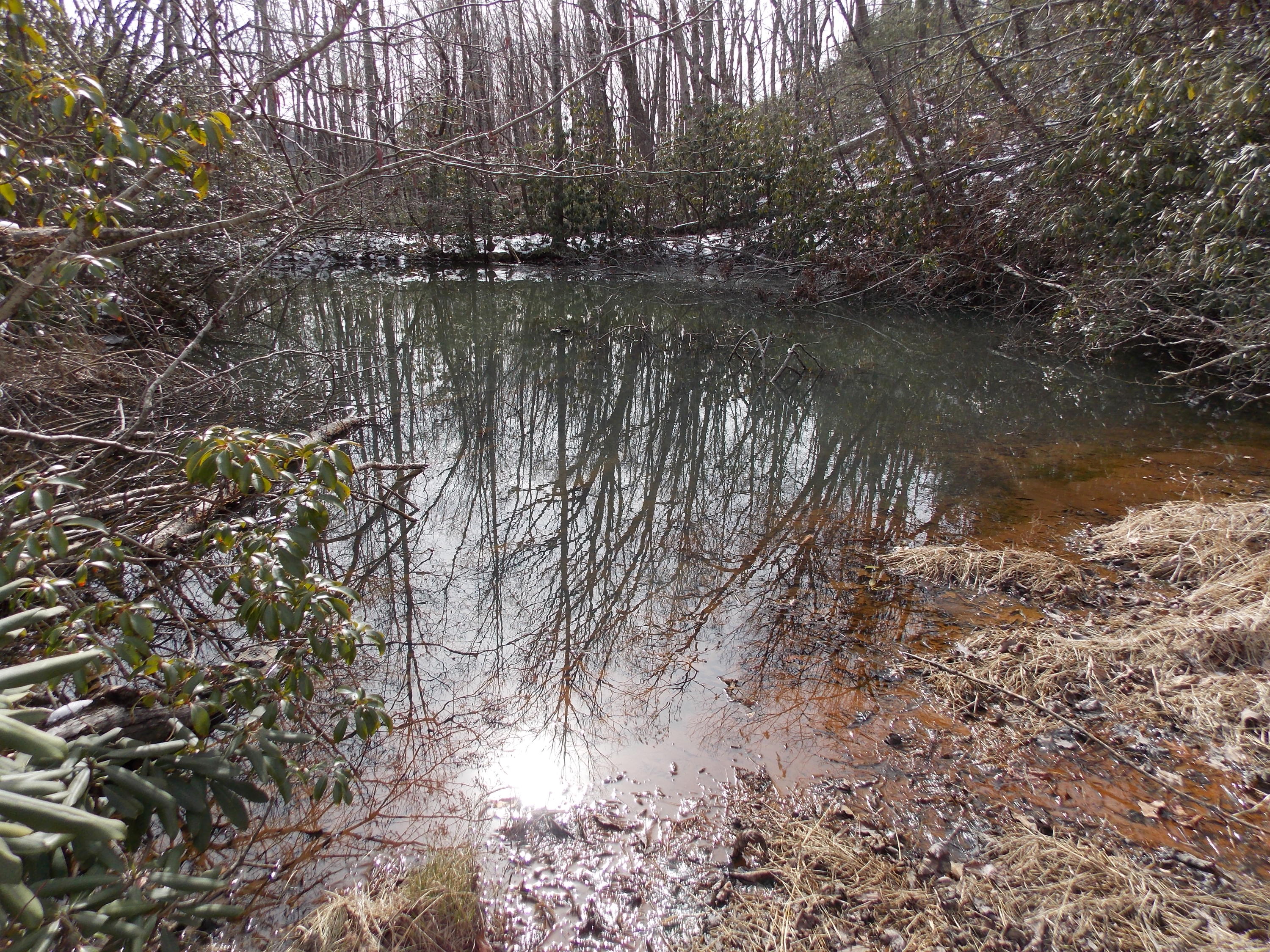 0 Dobyns Road Claudville, VA 24076 - Photo 2 of 32 DSCN0946
