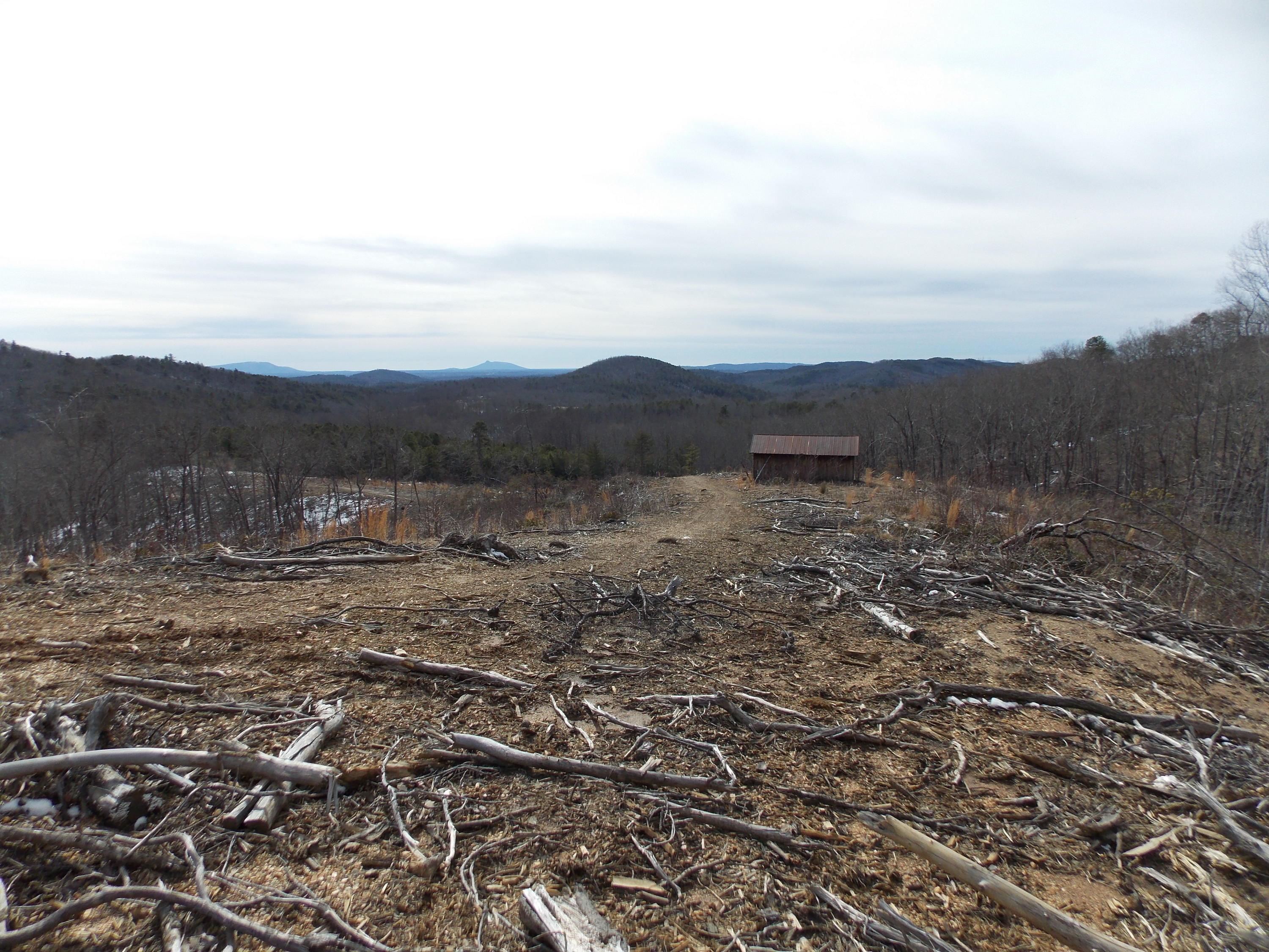 0 Dobyns Road Claudville, VA 24076 - Photo 22 of 32 DSCN0965
