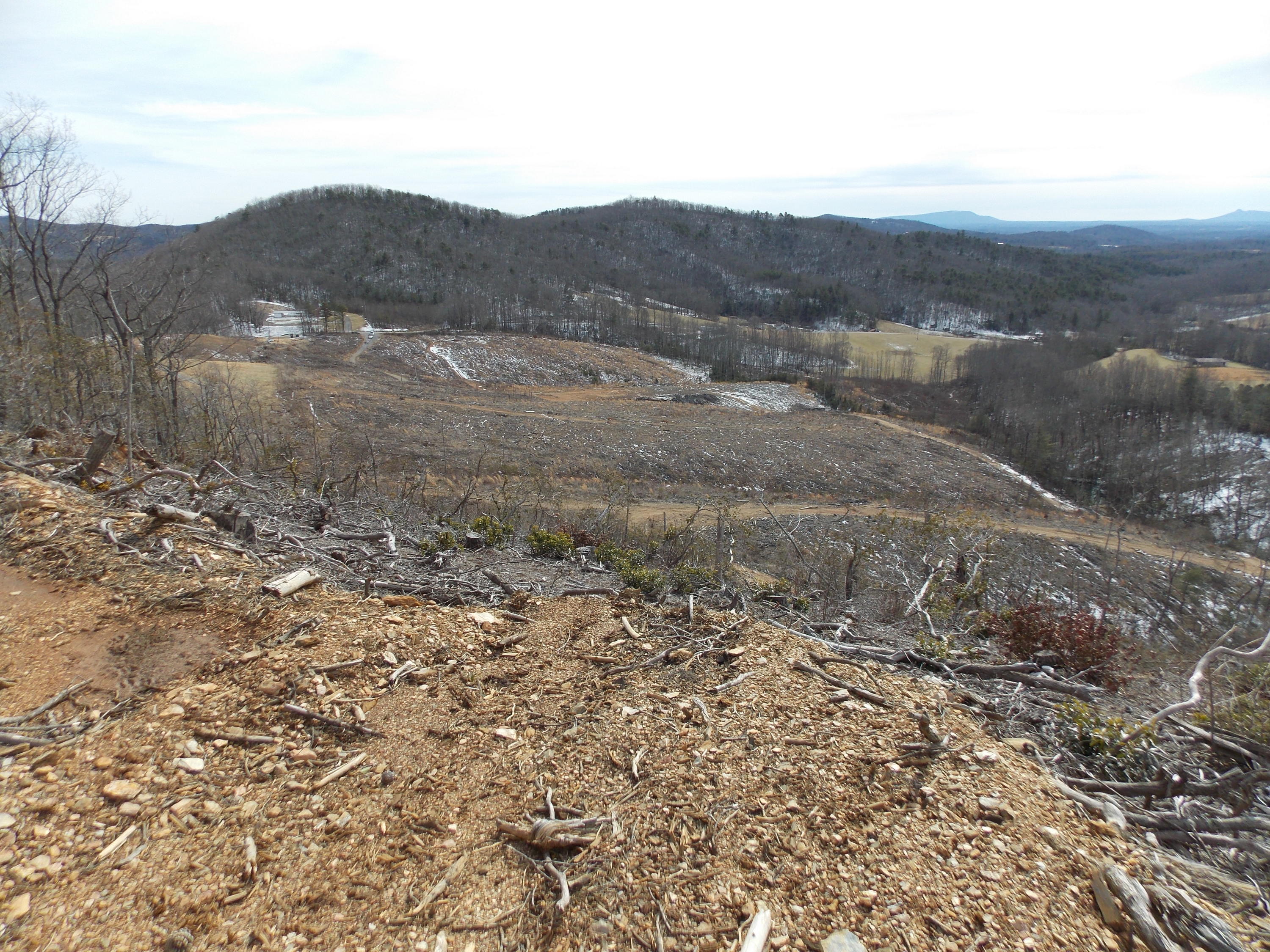 0 Dobyns Road Claudville, VA 24076 - Photo 23 of 32 DSCN0966