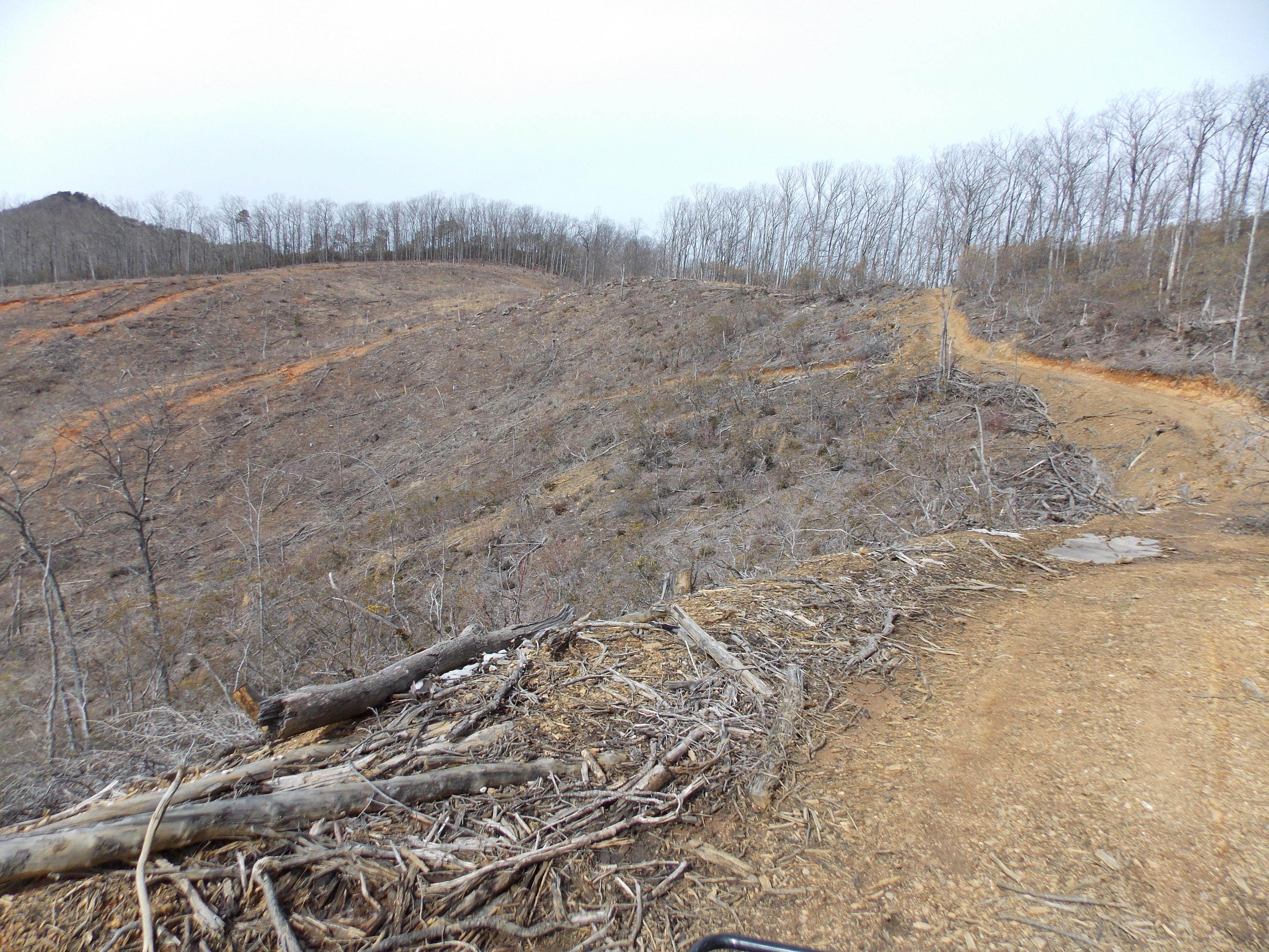 0 Dobyns Road Claudville, VA 24076 - Photo 24 of 32 DSCN0967