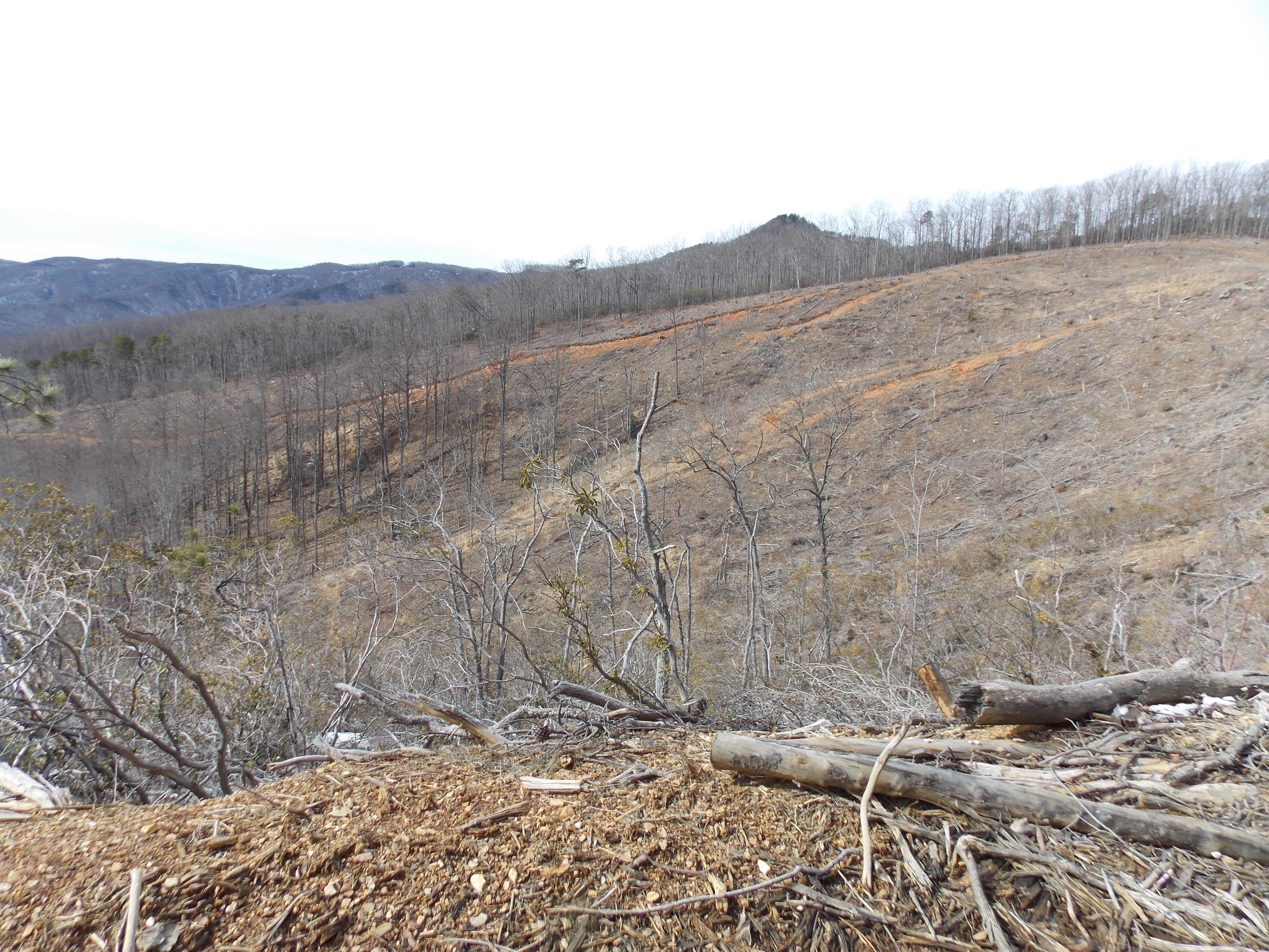 0 Dobyns Road Claudville, VA 24076 - Photo 25 of 32 DSCN0968