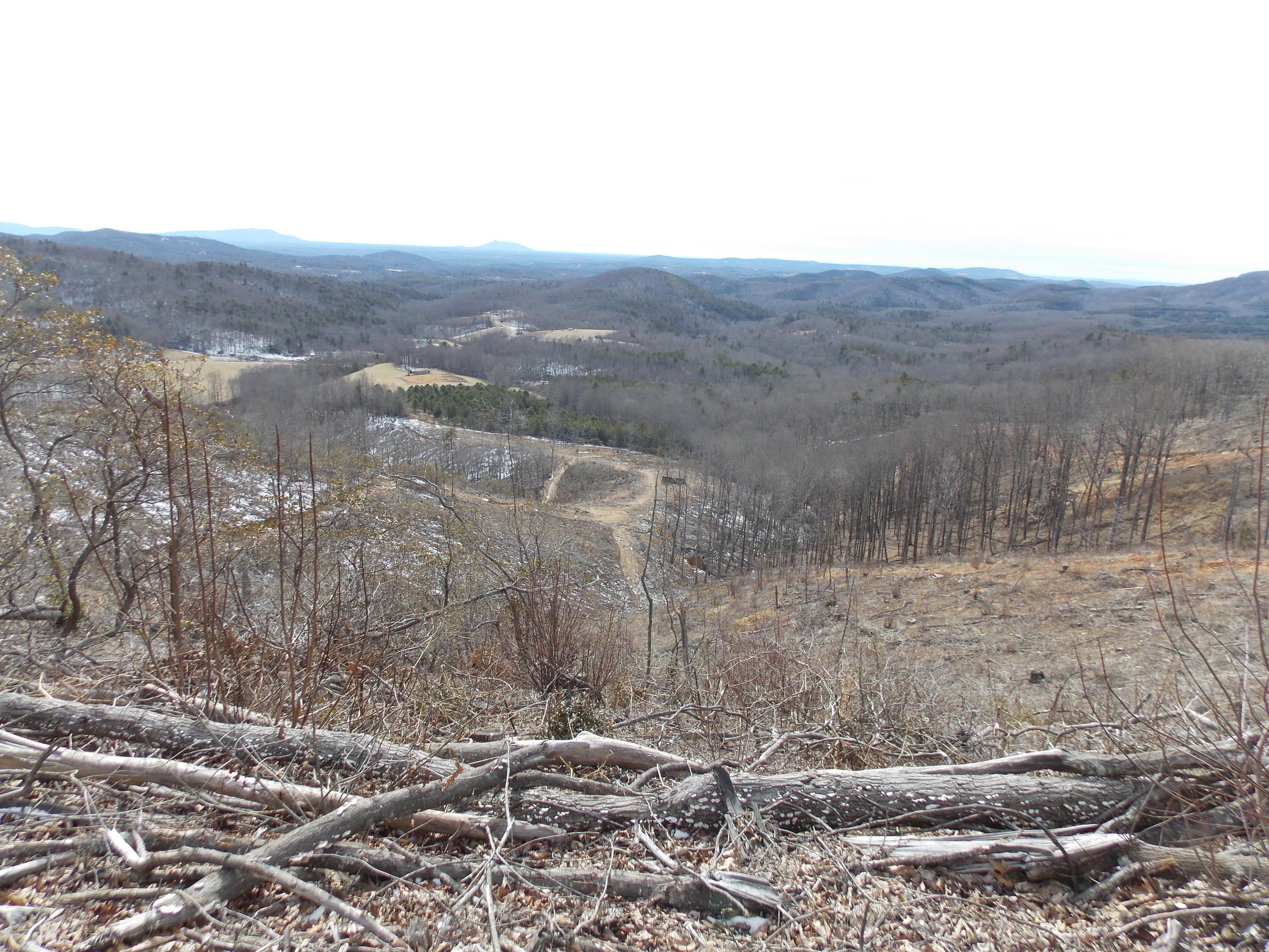 0 Dobyns Road Claudville, VA 24076 - Photo 26 of 32 DSCN0969