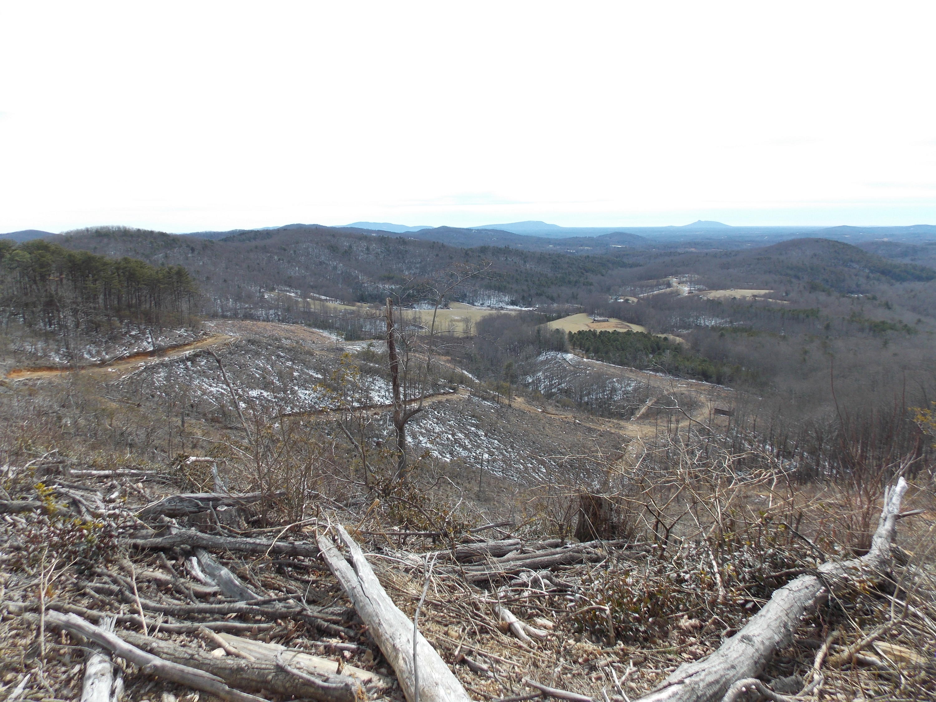 0 Dobyns Road Claudville, VA 24076 - Photo 27 of 32 DSCN0970