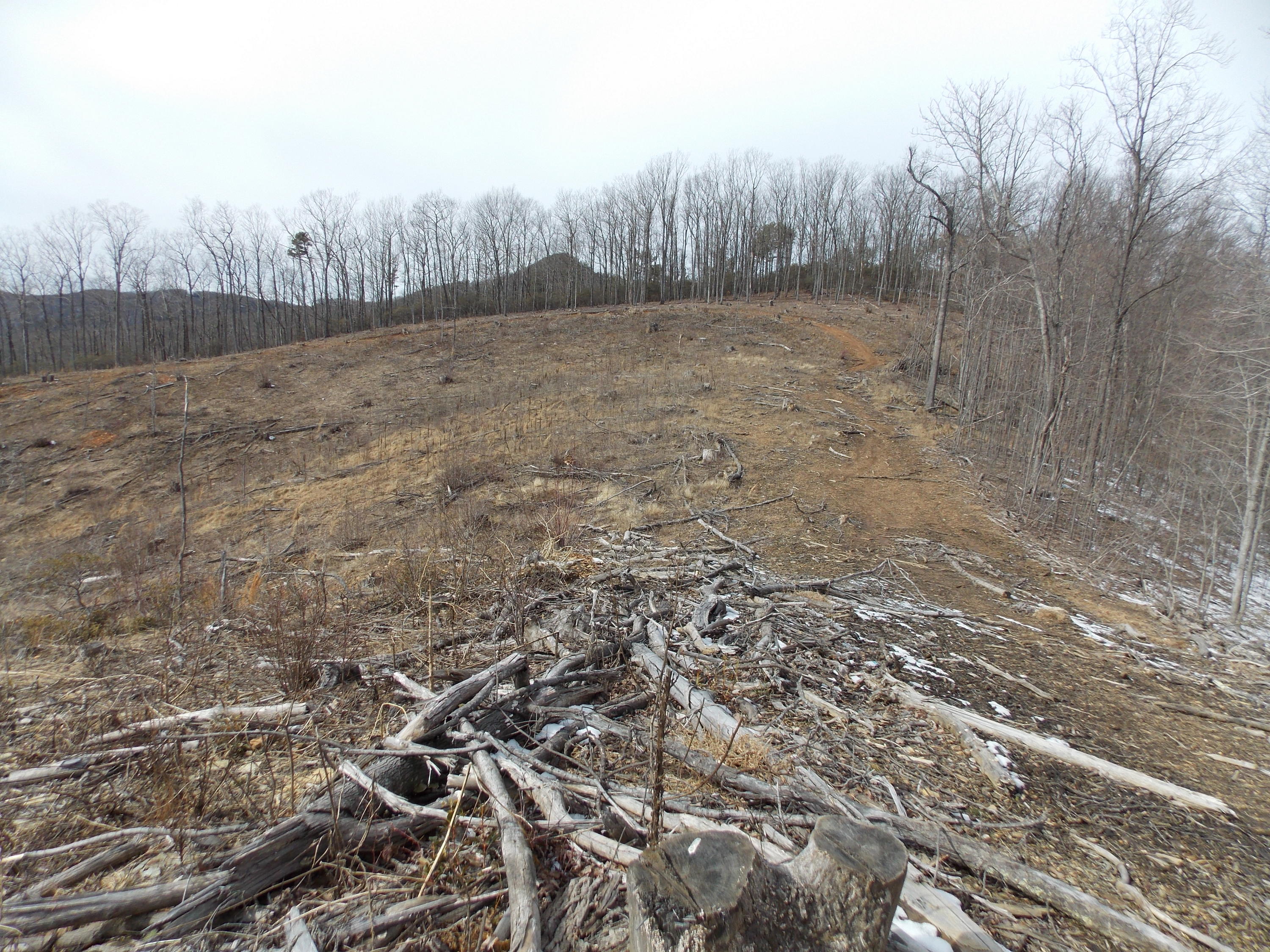 0 Dobyns Road Claudville, VA 24076 - Photo 28 of 32 DSCN0971