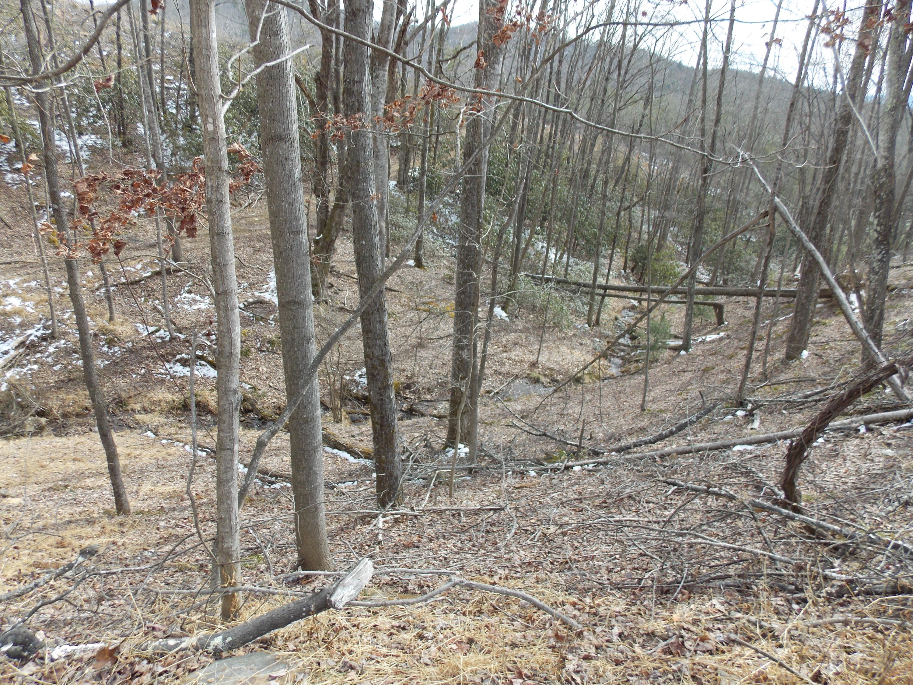 0 Dobyns Road Claudville, VA 24076 - Photo 29 of 32 DSCN0974