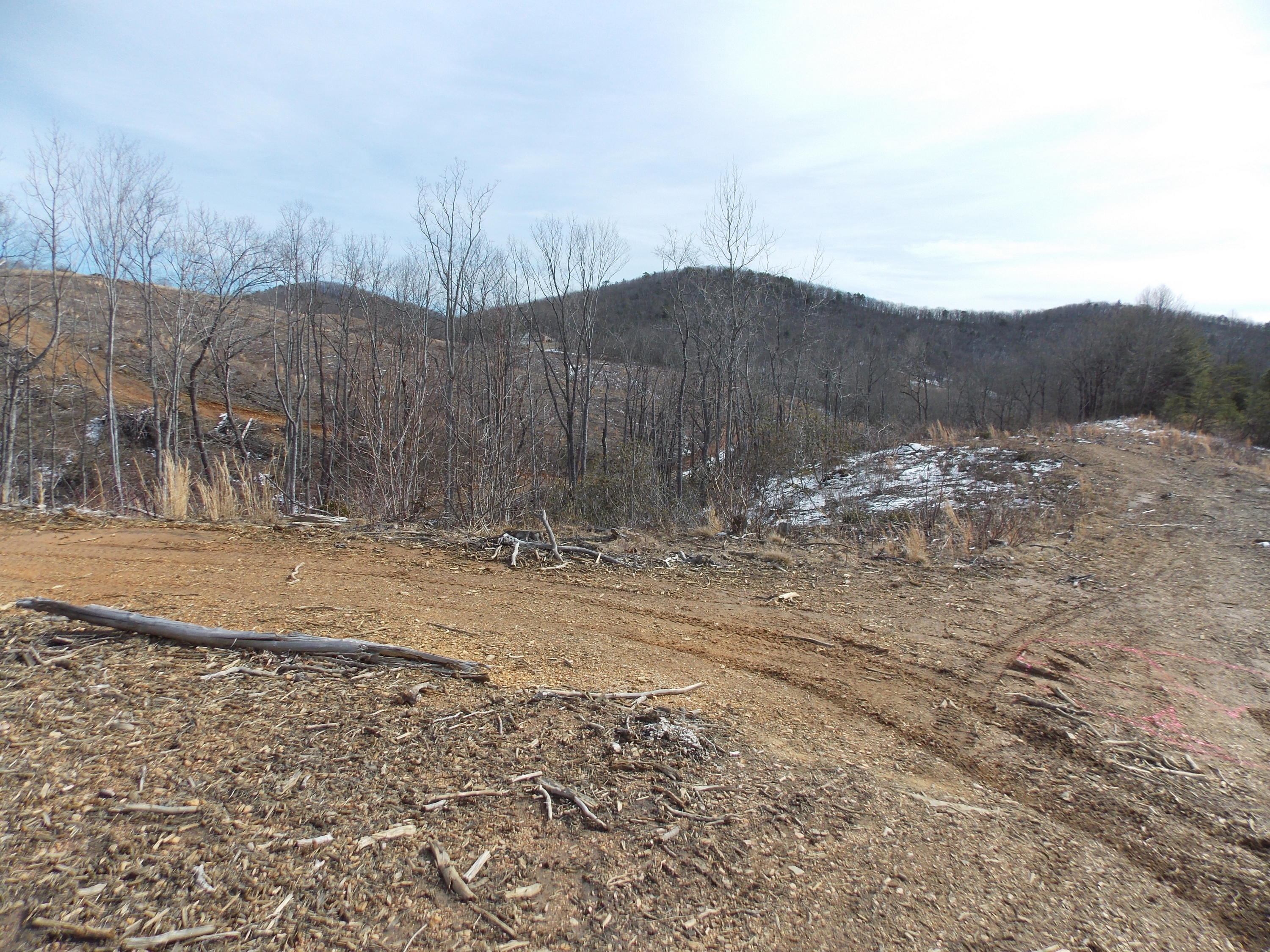 0 Dobyns Road Claudville, VA 24076 - Photo 8 of 32 DSCN0955