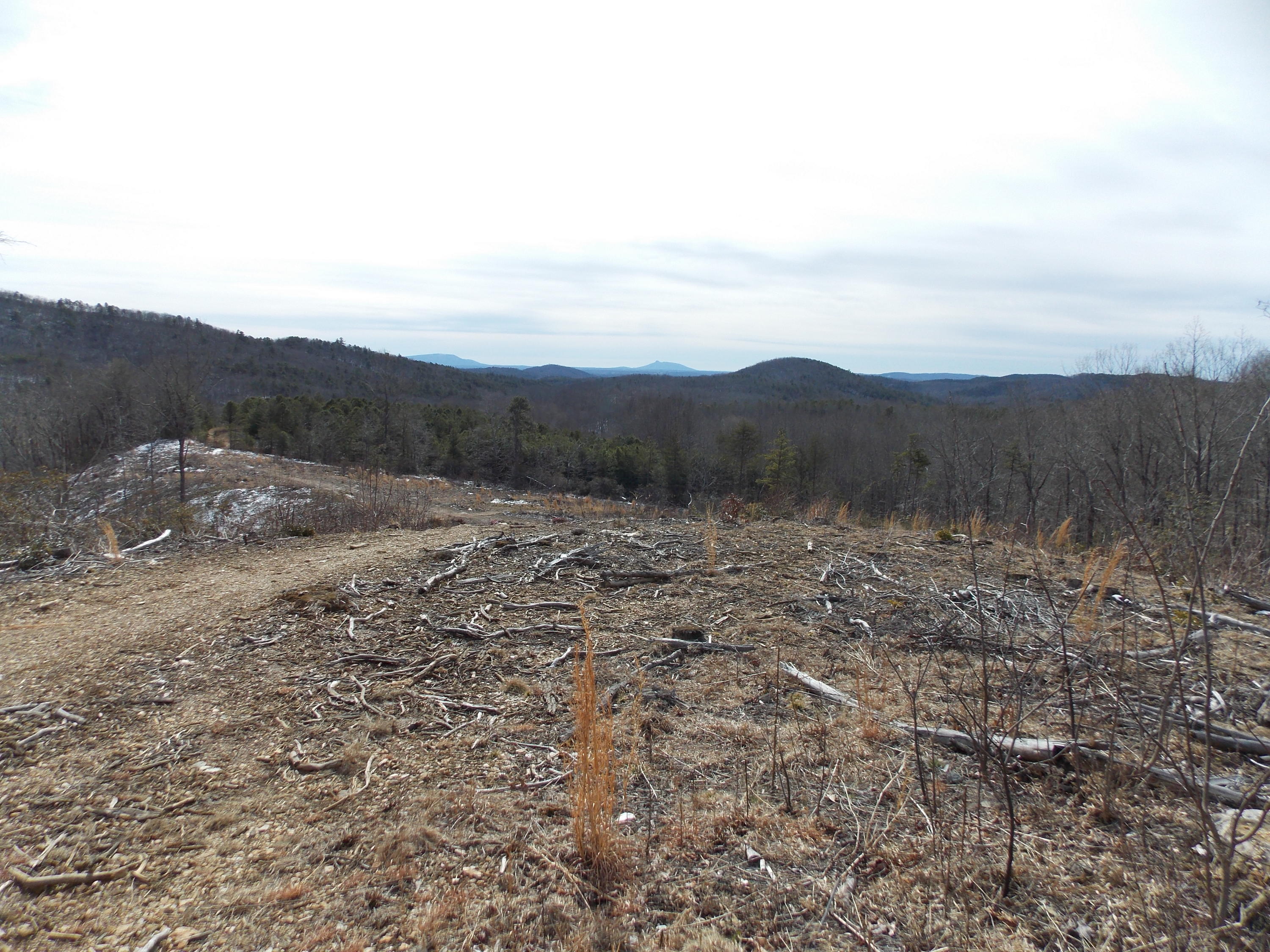 0 Dobyns Road Claudville, VA 24076 - Photo 10 of 32 DSCN0957