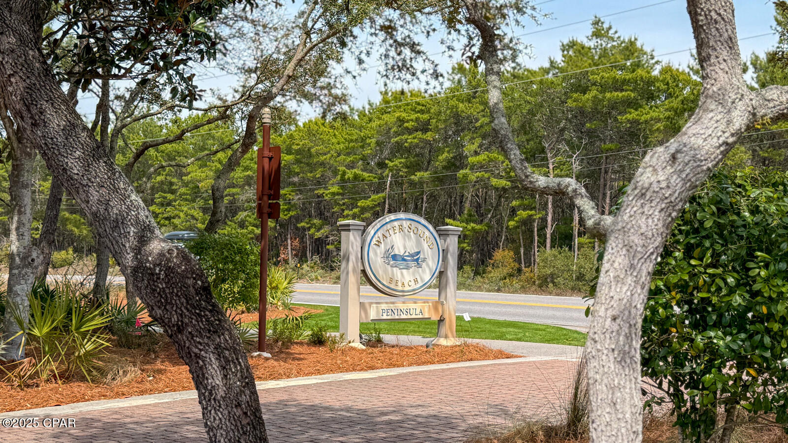 245 Gulf Bridge Lane Inlet Beach, FL 32461 - Photo 59 of 59