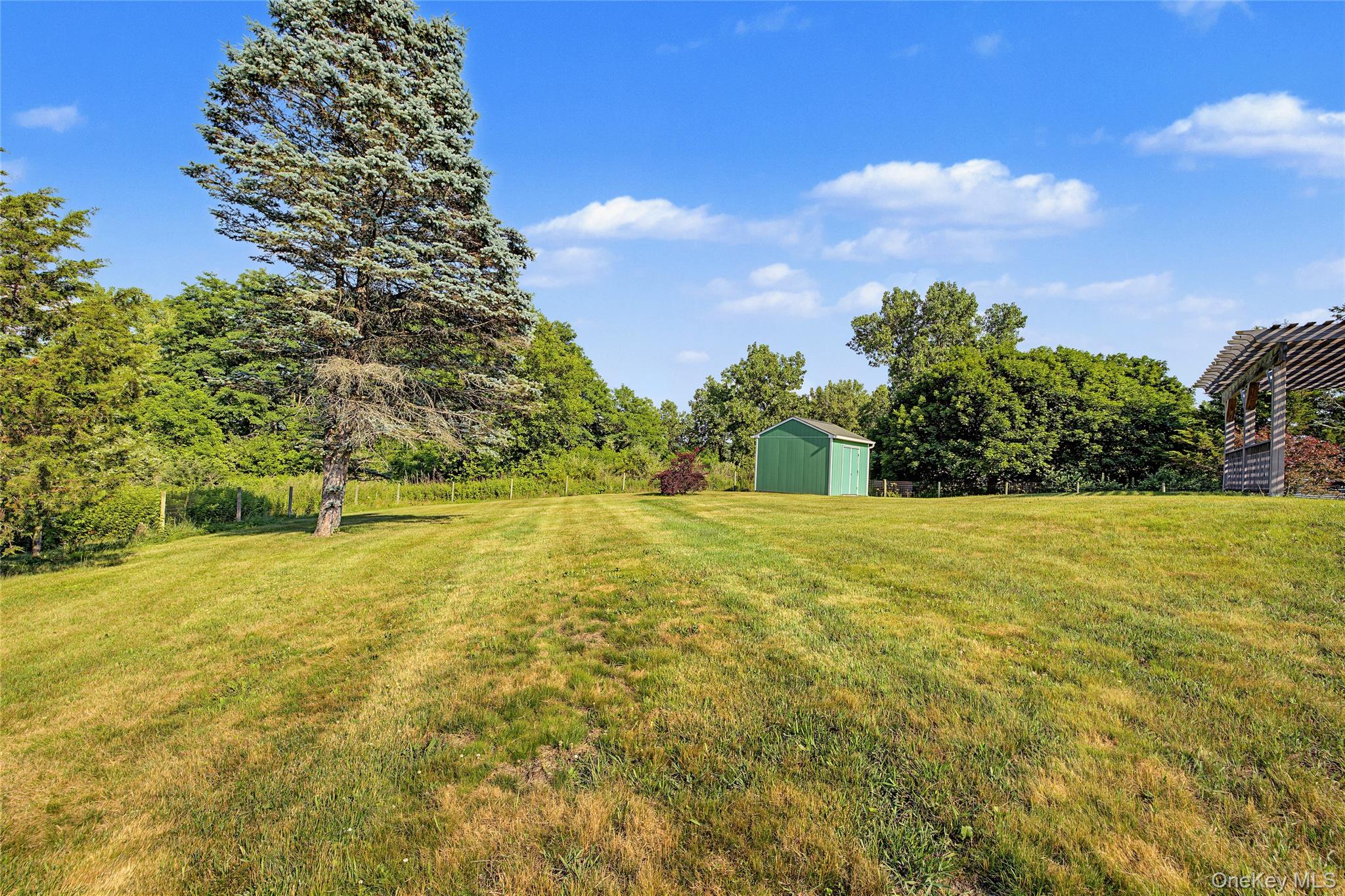 318 Cornwall Hill Road Patterson, NY 12563 - Photo 31 of 38 Expansive green lawn featuring a large evergreen tree, a green storage shed, and a wooden pergola structure