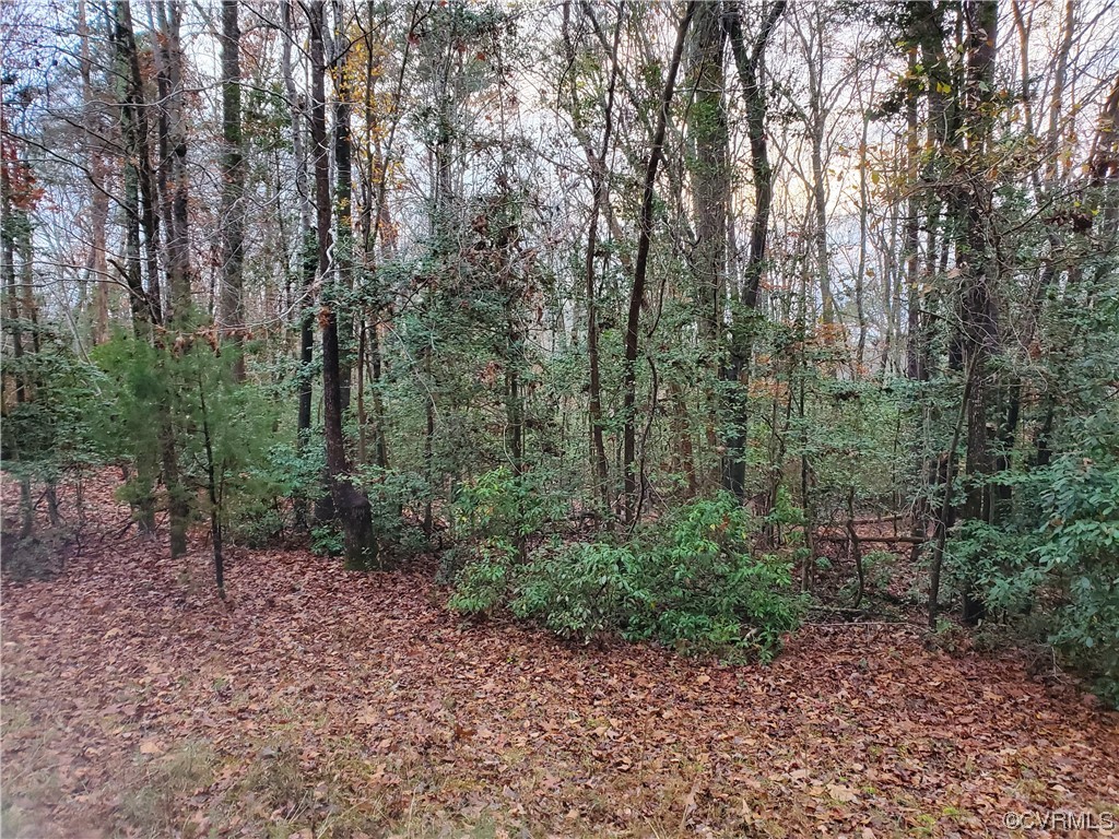 6-acres Loman Road Meherrin, VA 23954 - Photo 1 of 1 a view of a forest with trees in the background