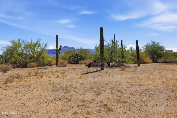 $325,000 | 1920 East 18th Avenue, Apache Junction, AZ 85119