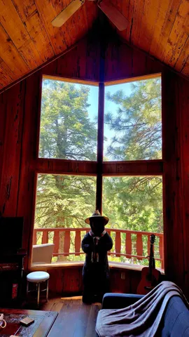 a view of a large window with an outdoor space