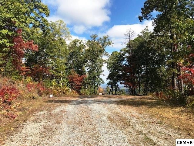 26 Bluff Mountain Road Sevierville, TN 37876 - Photo 5 of 11