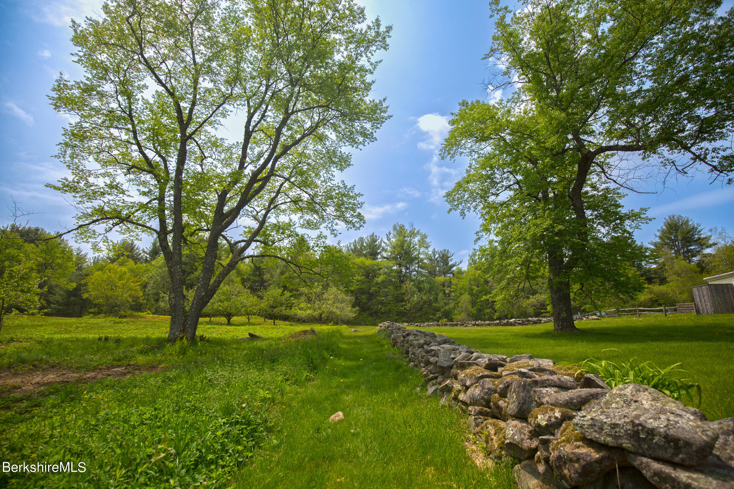 75 Old Quarry Road Otis, MA 01253 - Photo 3 of 39 a view of yard with green space