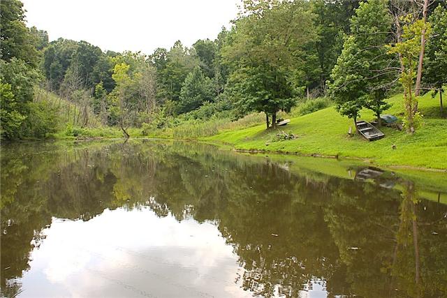 2374 Daniels Road Greenbrier, TN 37073 - Photo 10 of 10 Stocked pond
