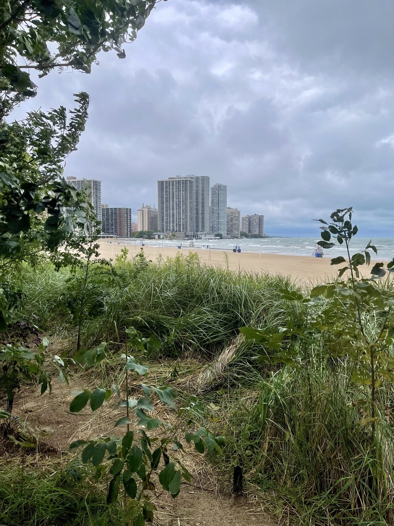 6033 North Sheridan Road, Unit 34M Chicago, IL 60660 - Photo 45 of 48