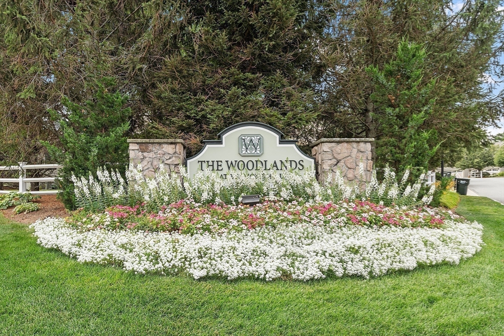 51 South Cottage Road, Unit 112 Belmont, MA 02478 - Photo 38 of 41 a view of a park that has a large tree