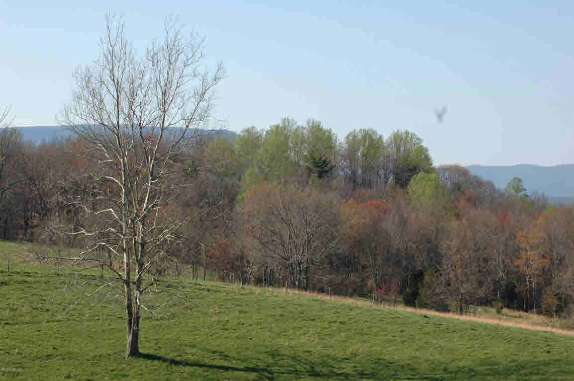 Lot J Springdale Road Pearisburg, VA 24134 - Photo 37 of 51 Gallery Image 37
