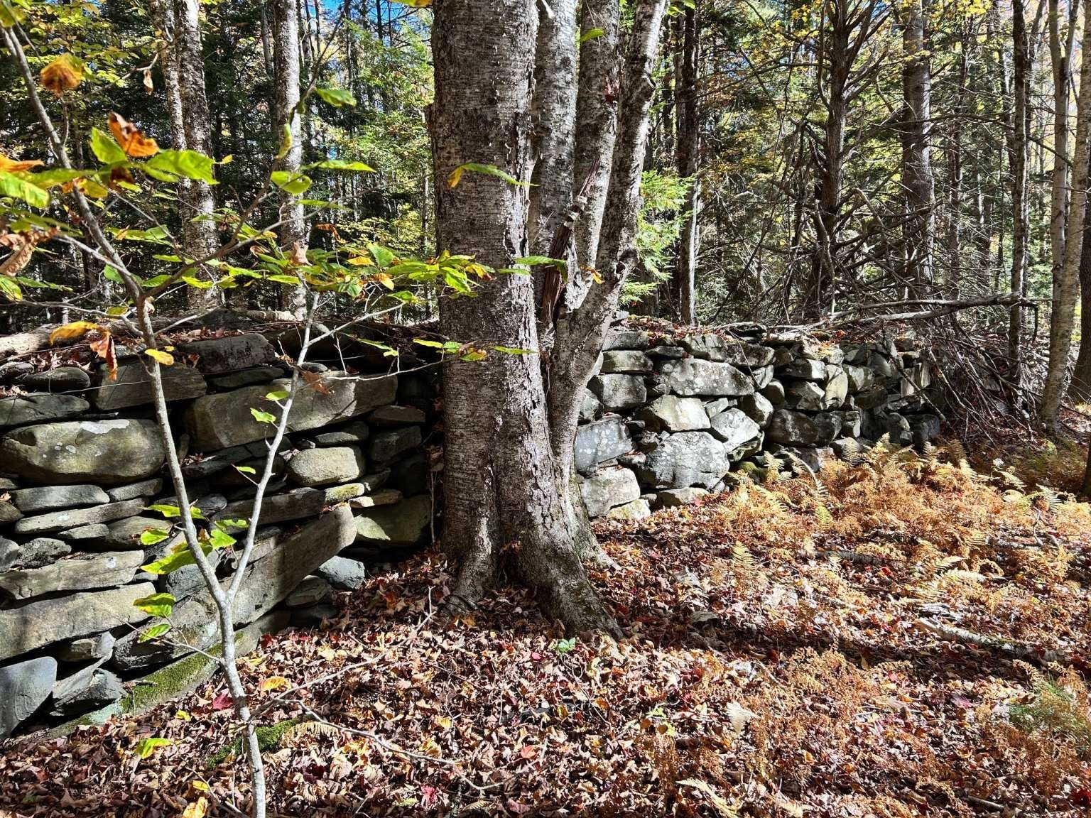 0 Stage Road Cummington, MA 01026 - Photo 7 of 11 Gallery Image 7