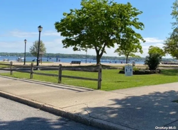 a view of a park with large trees