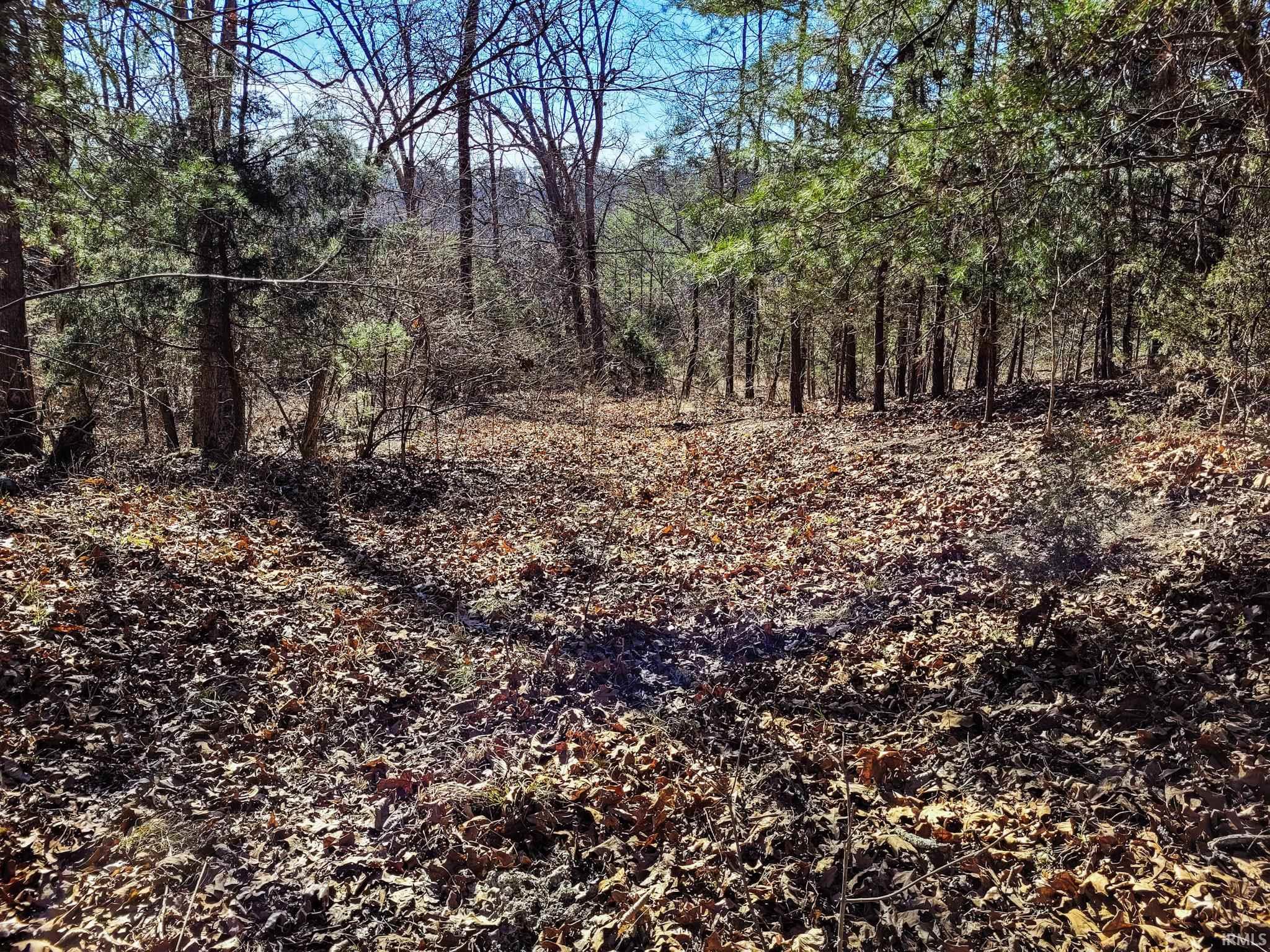 3002 Old State Road Henryville, IN 47126 - Photo 1 of 19
