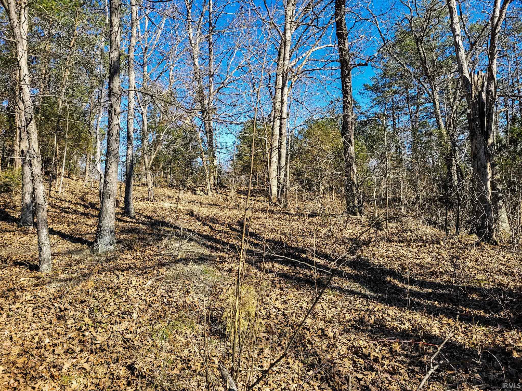 3002 Old State Road Henryville, IN 47126 - Photo 11 of 19