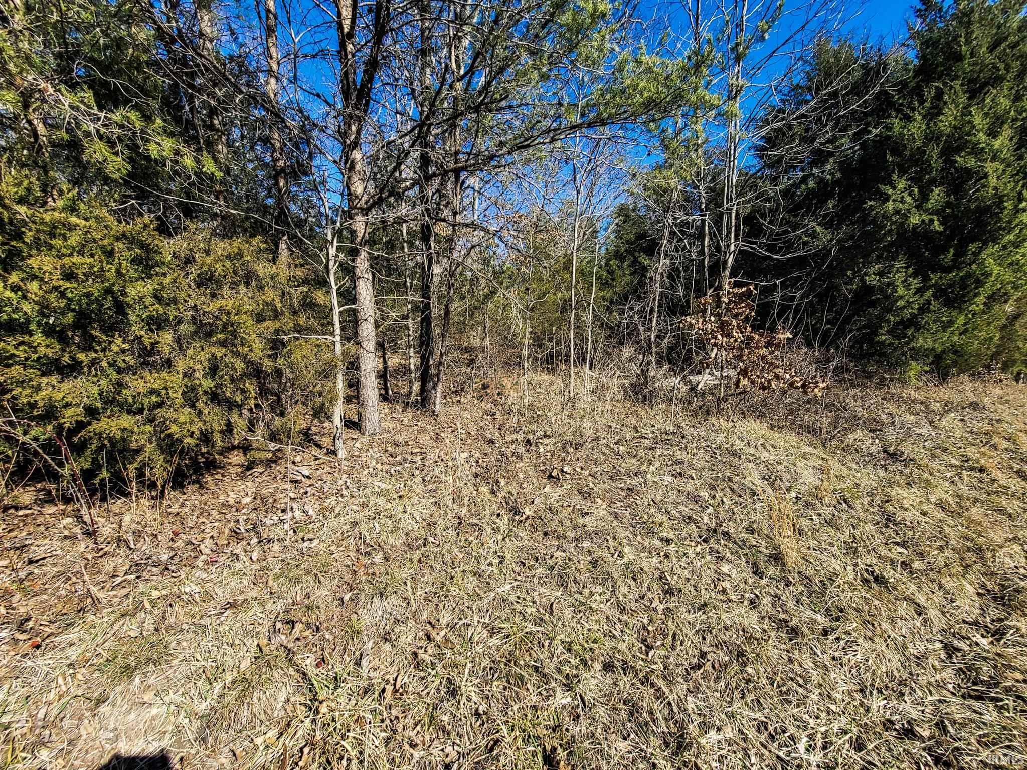 3002 Old State Road Henryville, IN 47126 - Photo 13 of 19