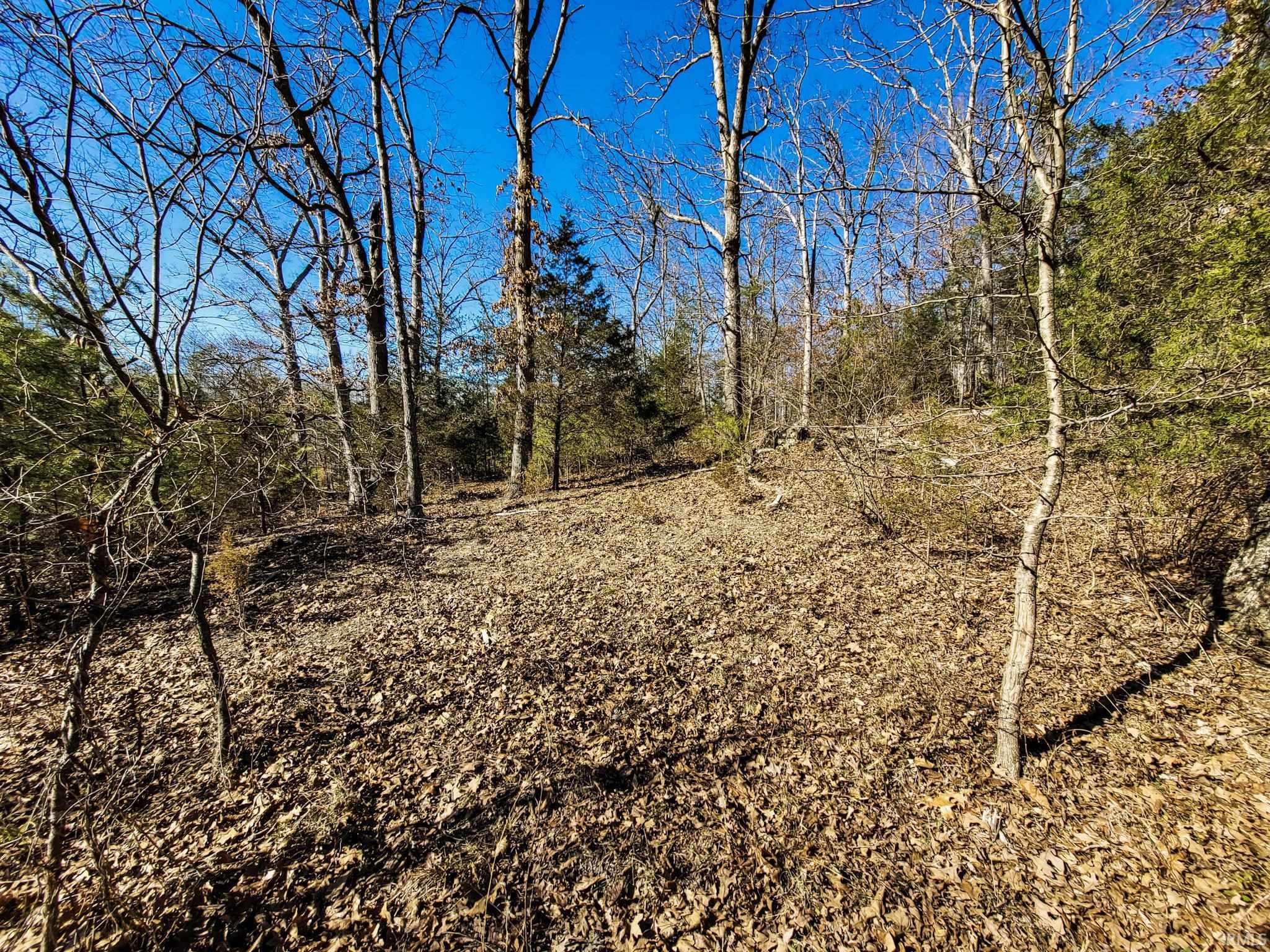 3002 Old State Road Henryville, IN 47126 - Photo 15 of 19