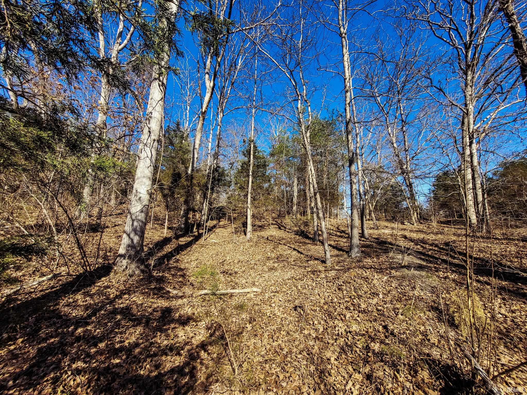 3002 Old State Road Henryville, IN 47126 - Photo 16 of 19