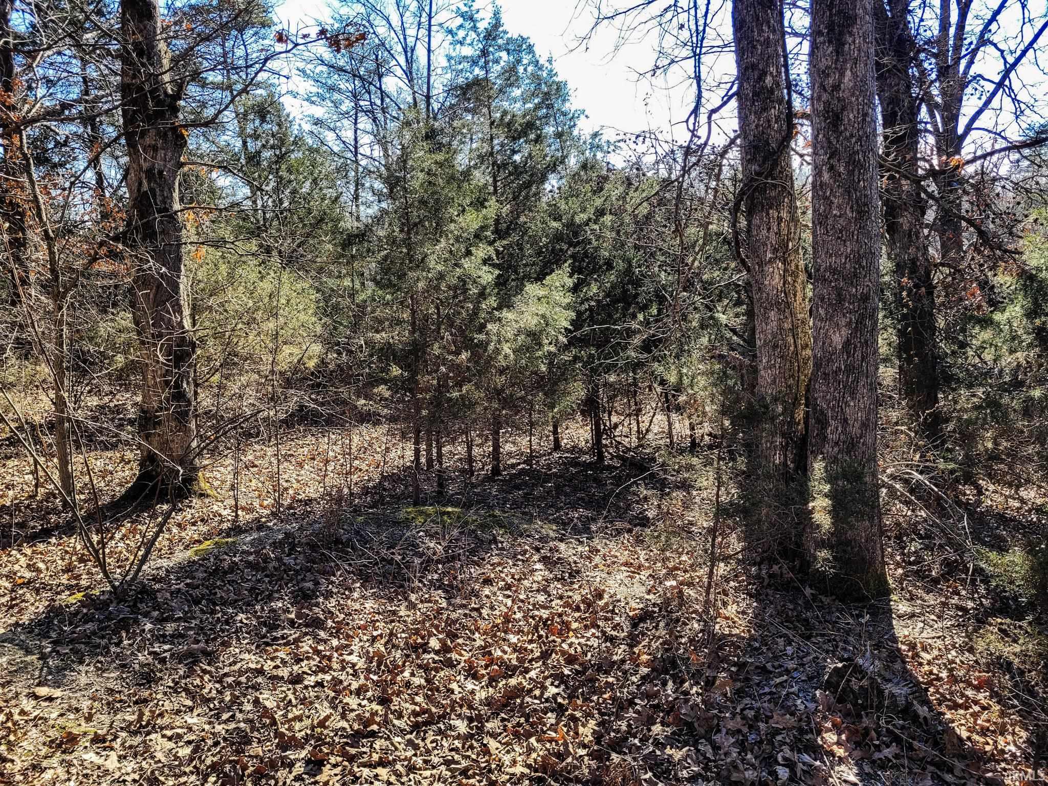 3002 Old State Road Henryville, IN 47126 - Photo 18 of 19
