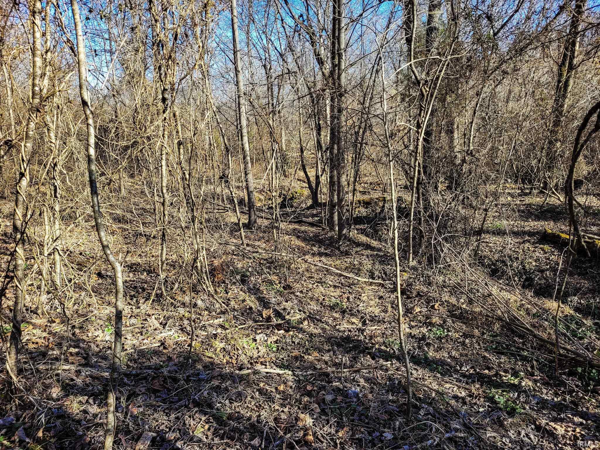 3002 Old State Road Henryville, IN 47126 - Photo 18 of 19