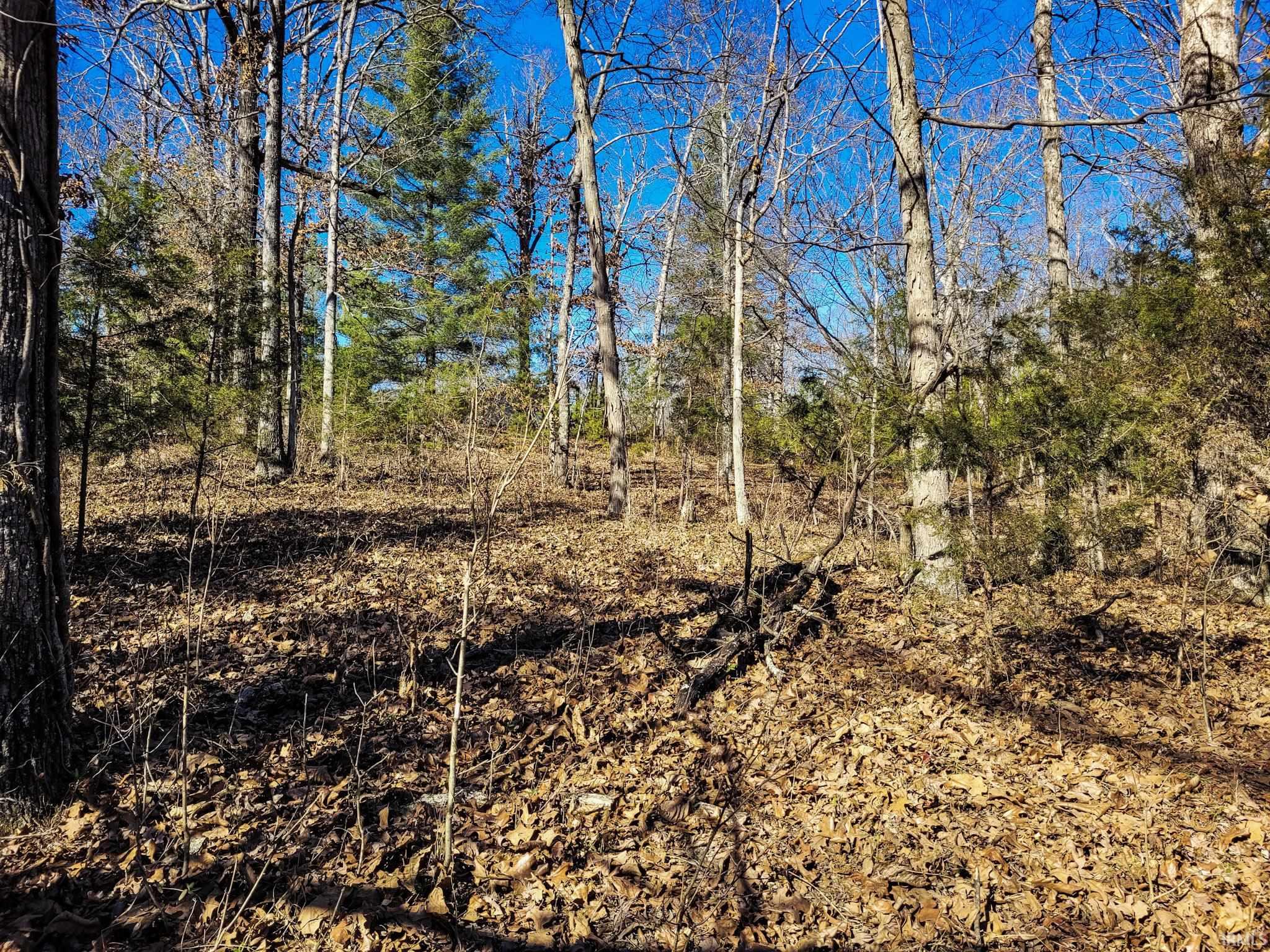 3002 Old State Road Henryville, IN 47126 - Photo 19 of 19