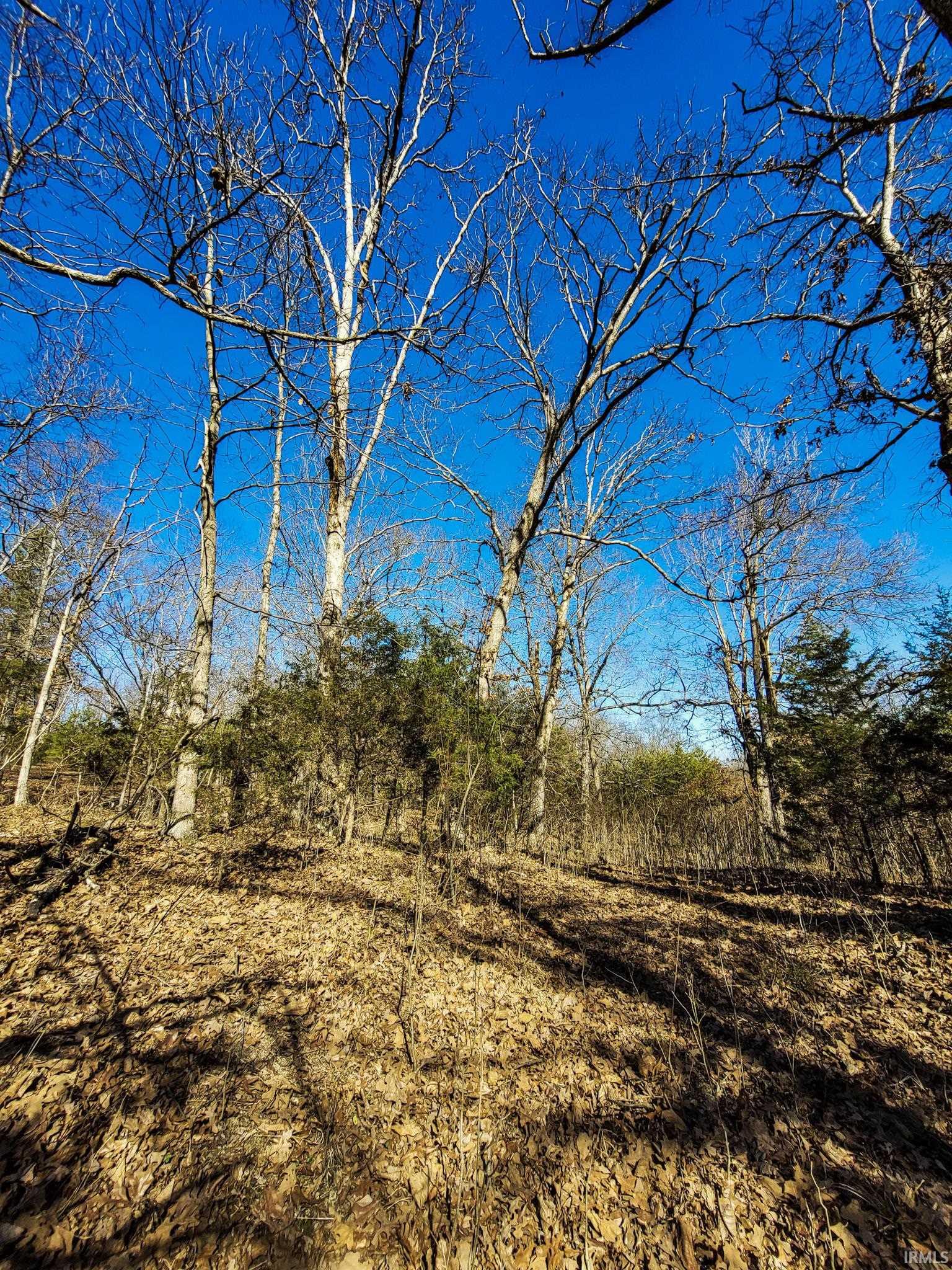 3002 Old State Road Henryville, IN 47126 - Photo 2 of 19