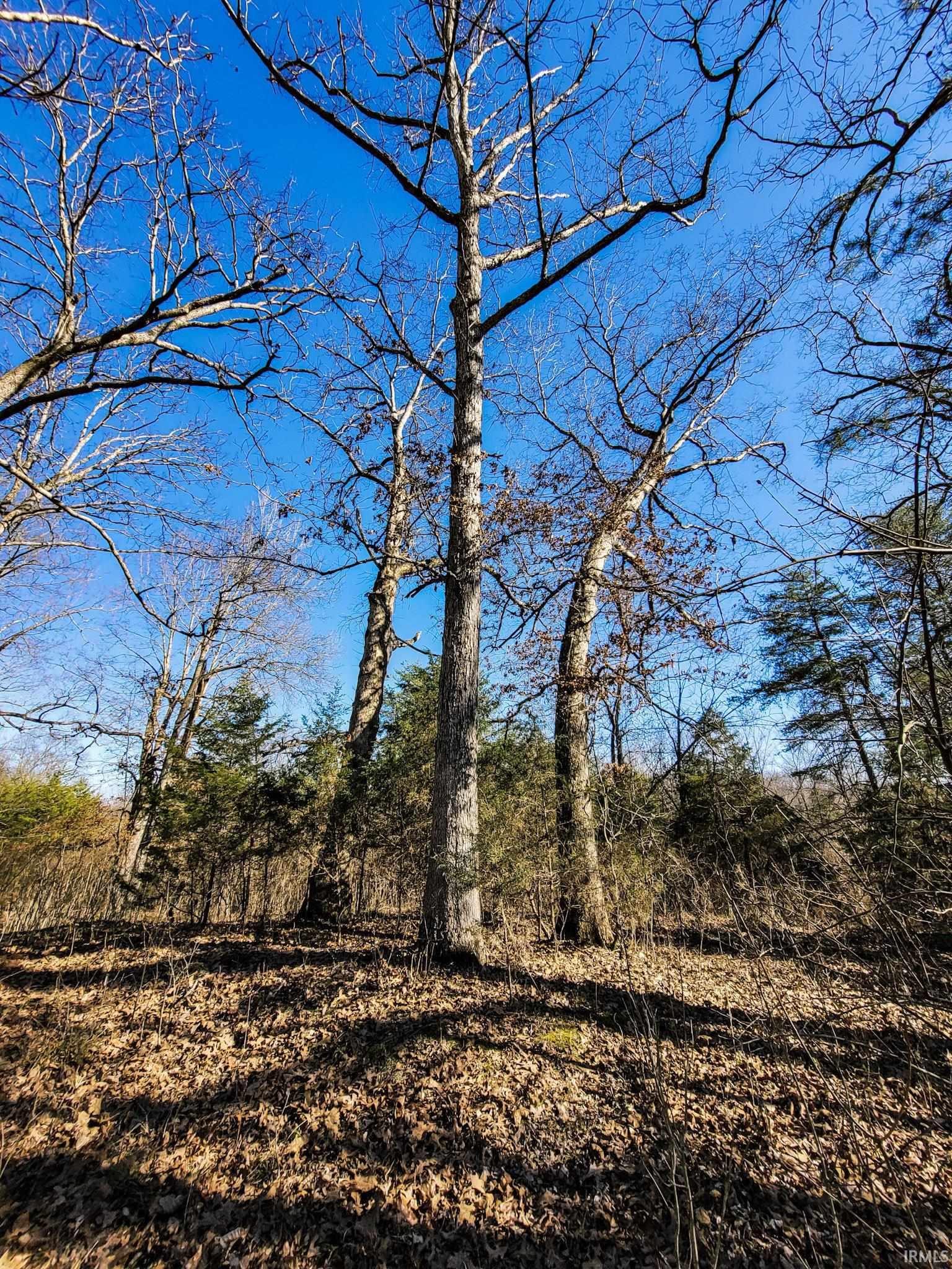 3002 Old State Road Henryville, IN 47126 - Photo 3 of 19