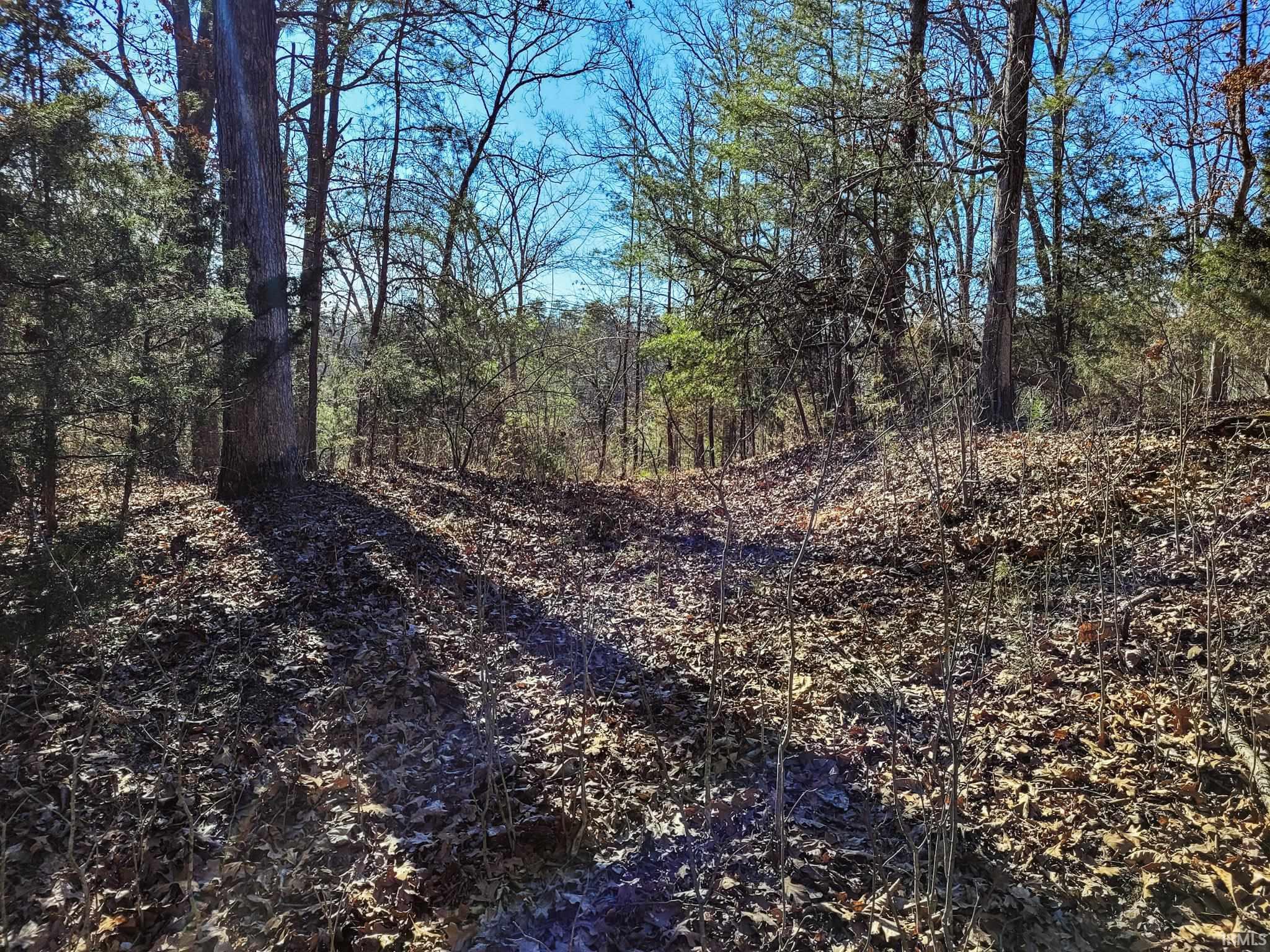 3002 Old State Road Henryville, IN 47126 - Photo 4 of 19