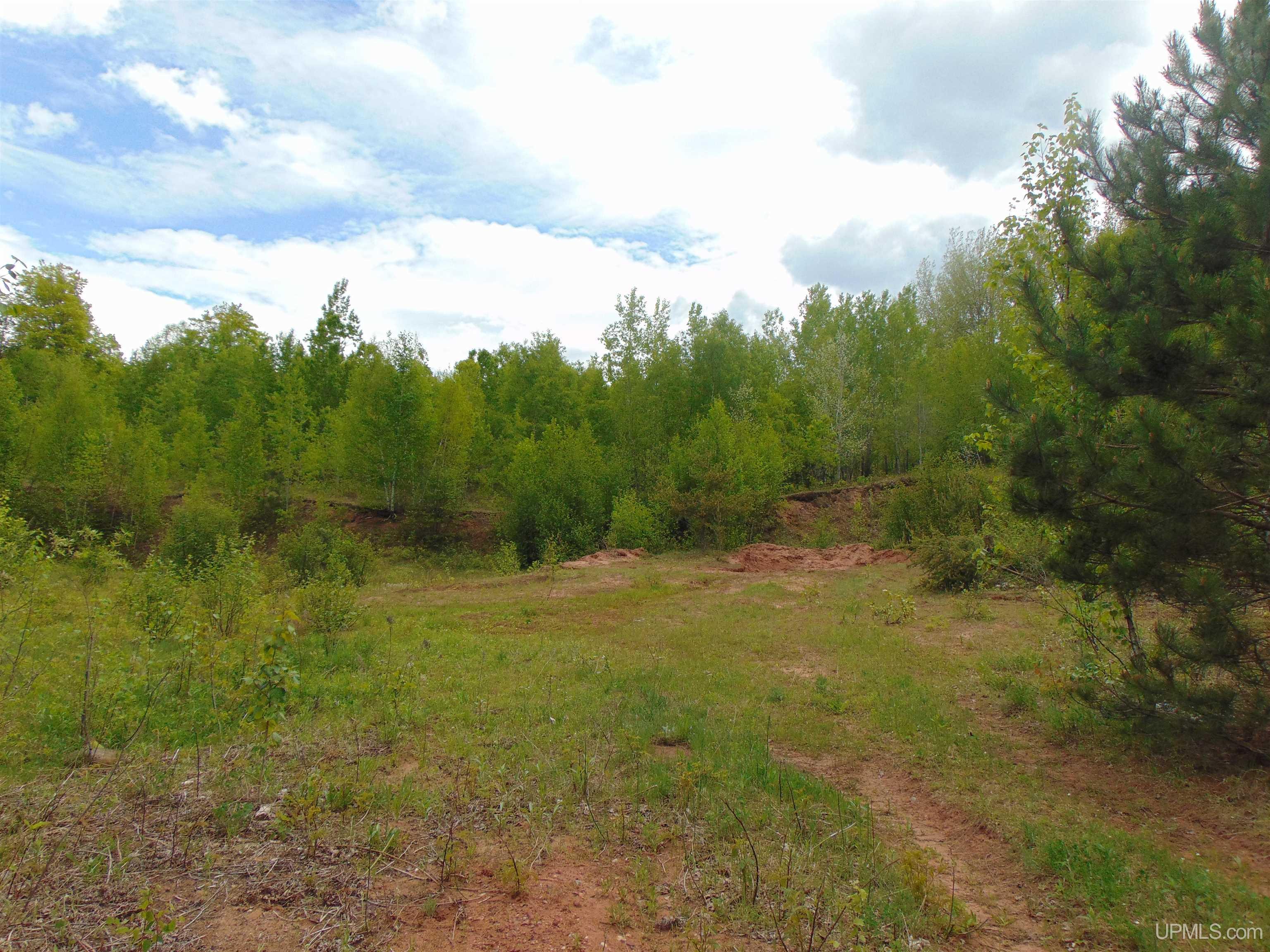 Tbd 1 Off M28 Road Trout Creek, MI 49967 - Photo 16 of 24