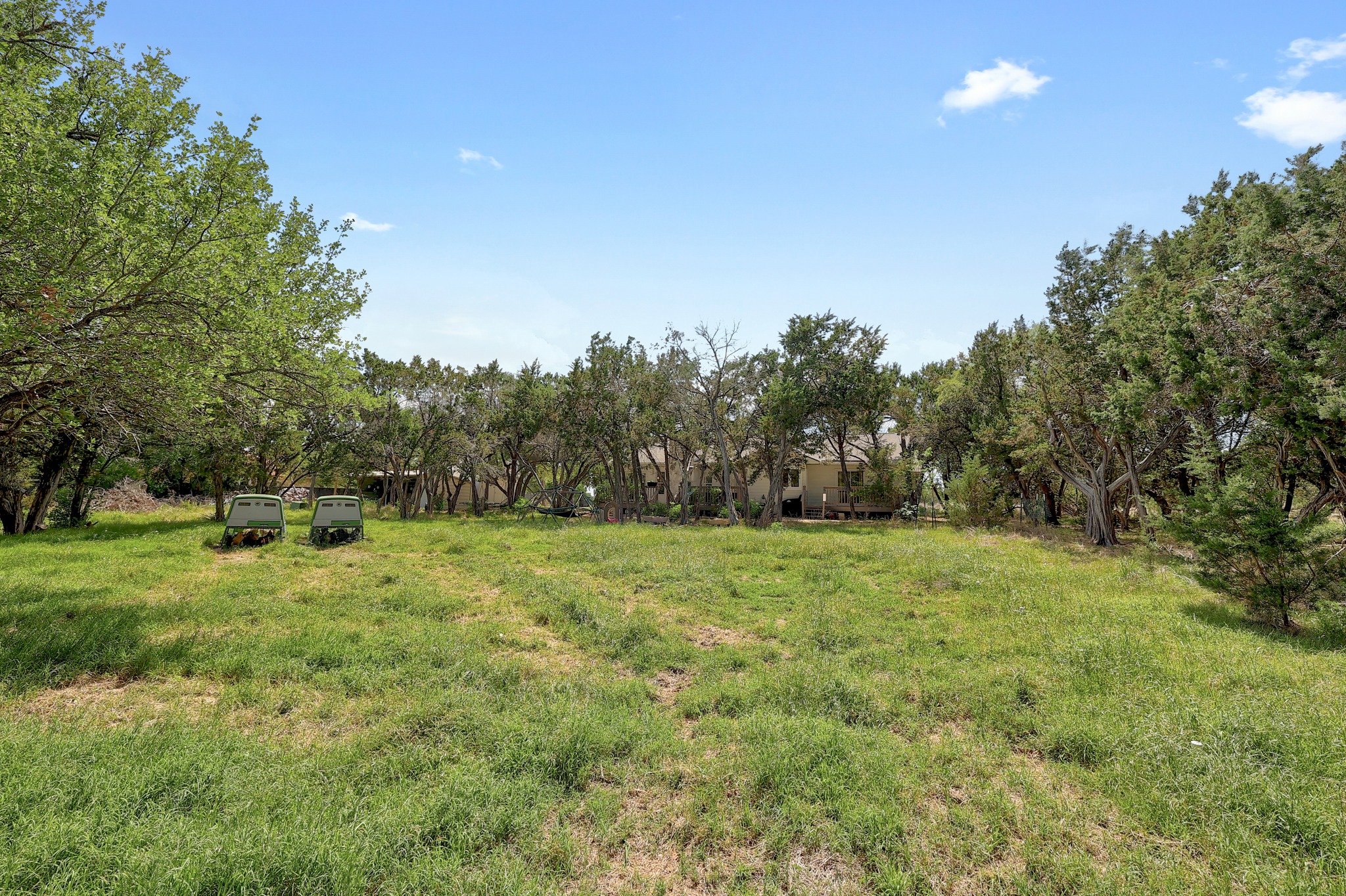 1455 County Road 262 Georgetown, TX 78633 - Photo 26 of 40 a big yard with lots of green space and deers