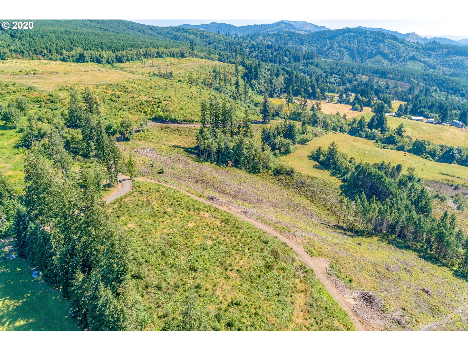 14 Paananen Road Woodland, WA 98674 - Photo 8 of 12 Gallery Image 8