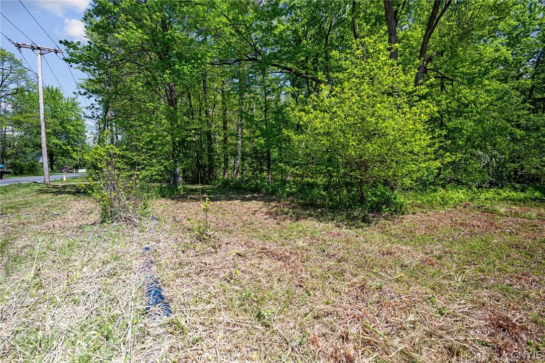 6859 Kirkville Road De Witt, NY 13057 - Photo 11 of 30