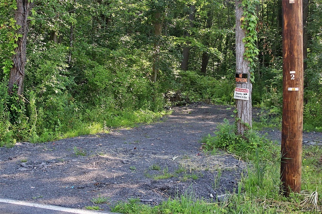 6859 Kirkville Road De Witt, NY 13057 - Photo 9 of 30