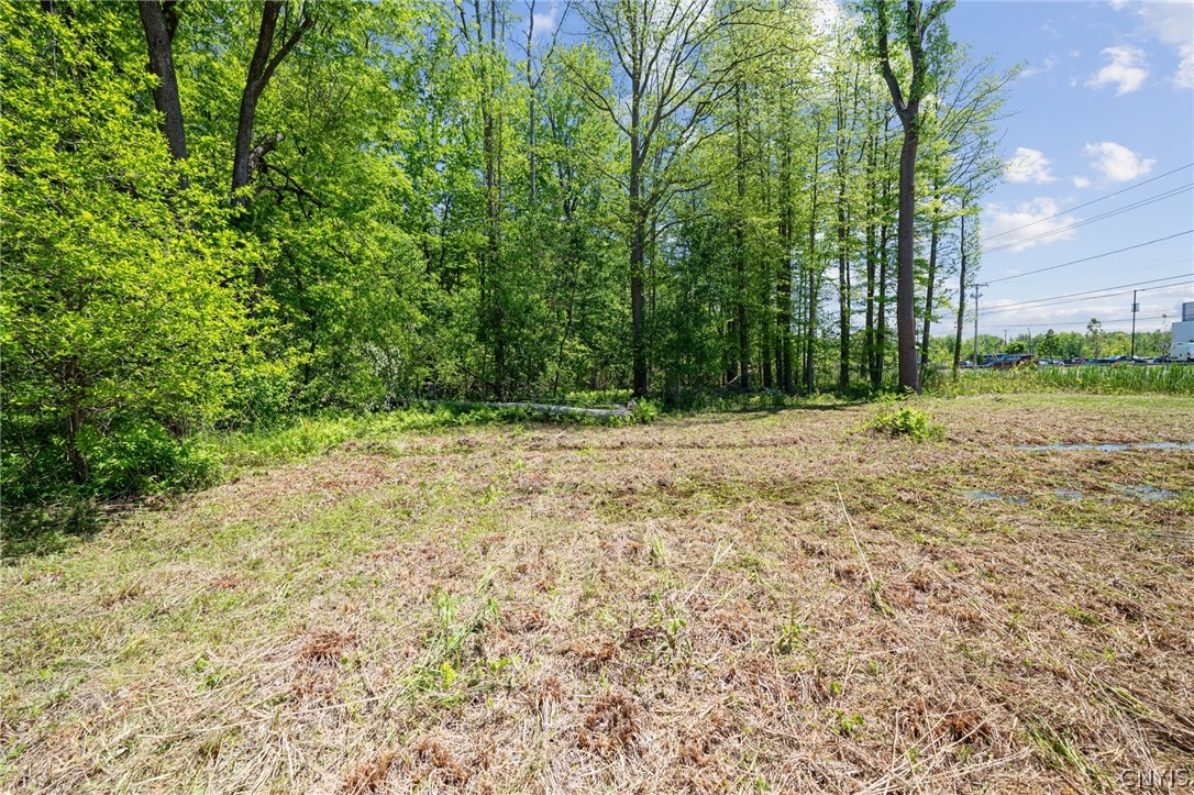 6859 Kirkville Road De Witt, NY 13057 - Photo 10 of 30