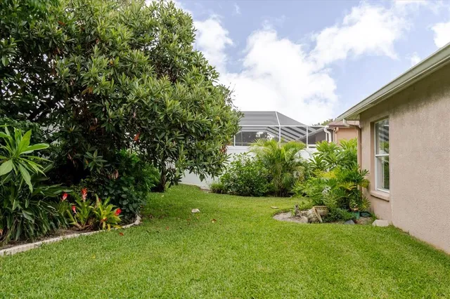 a view of a backyard with plants and a large tree