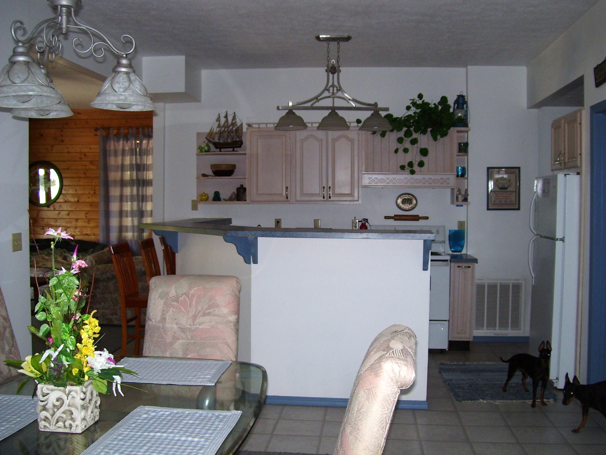 341 Shoreside Road New Tazewell, TN 37825 - Photo 17 of 35 Lower Level Dining to kitchen